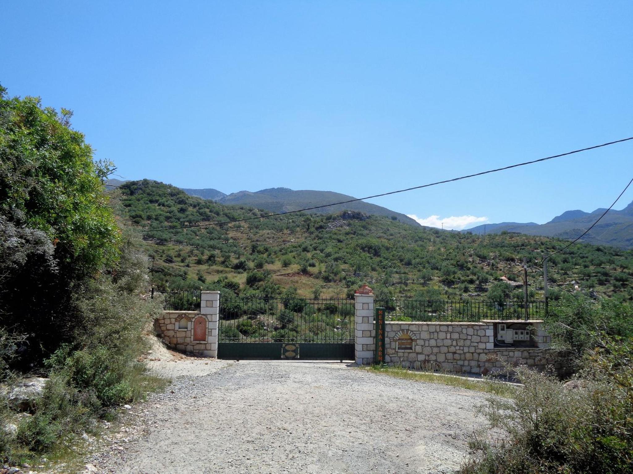 Photo 101