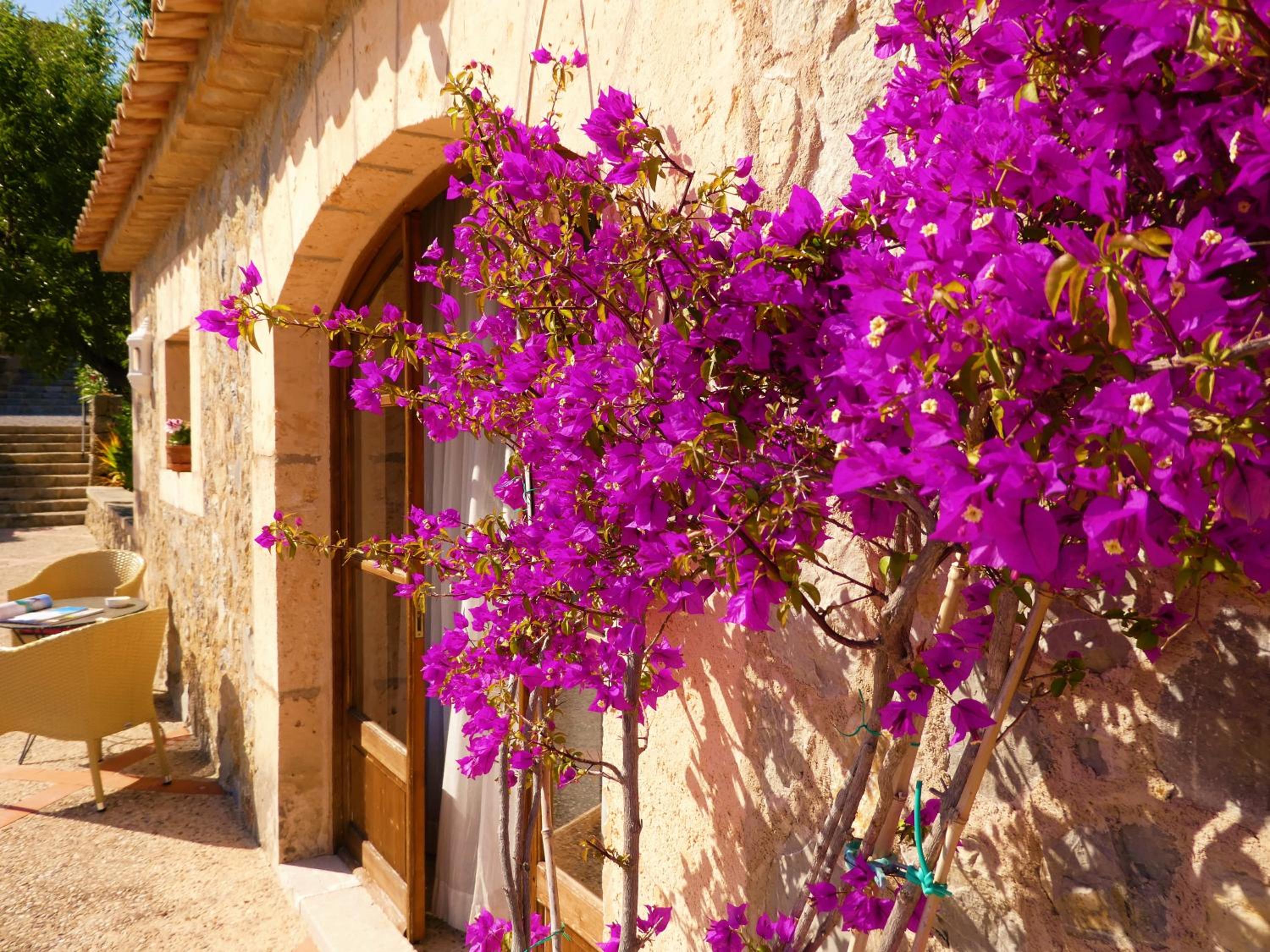 Finca Can Estades