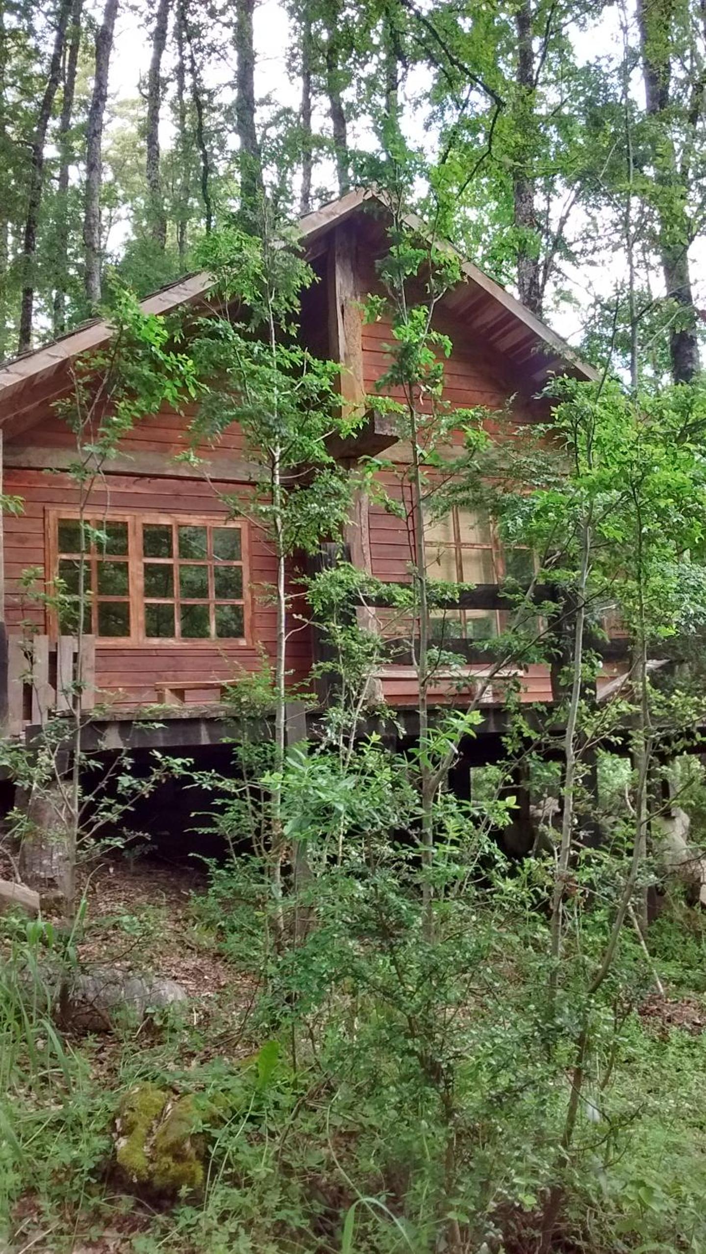Photo 21