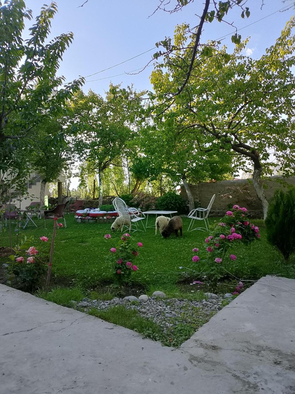 Photo 43
