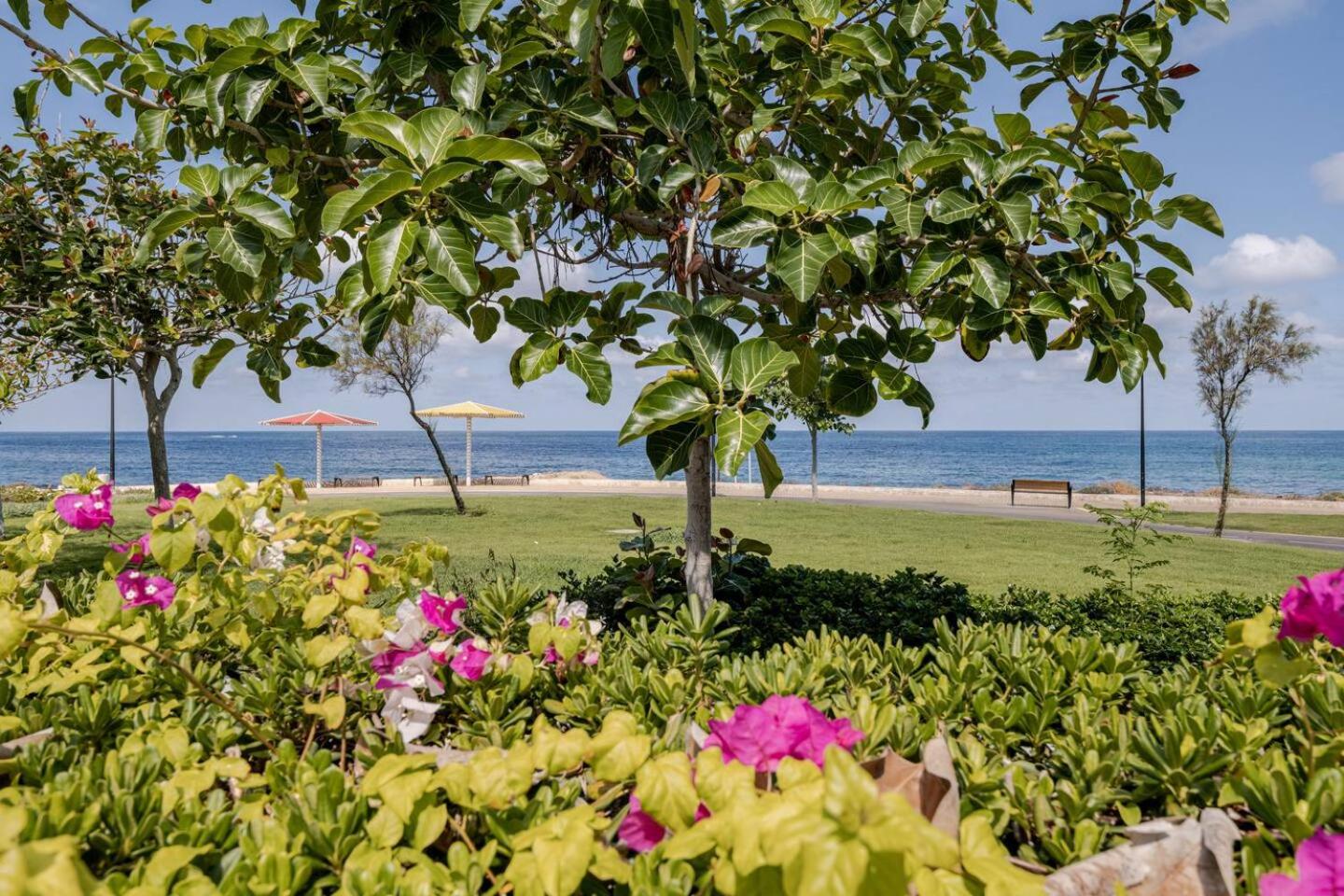 GW009 Gugel Waves Patio and Pool Seaview Apartment