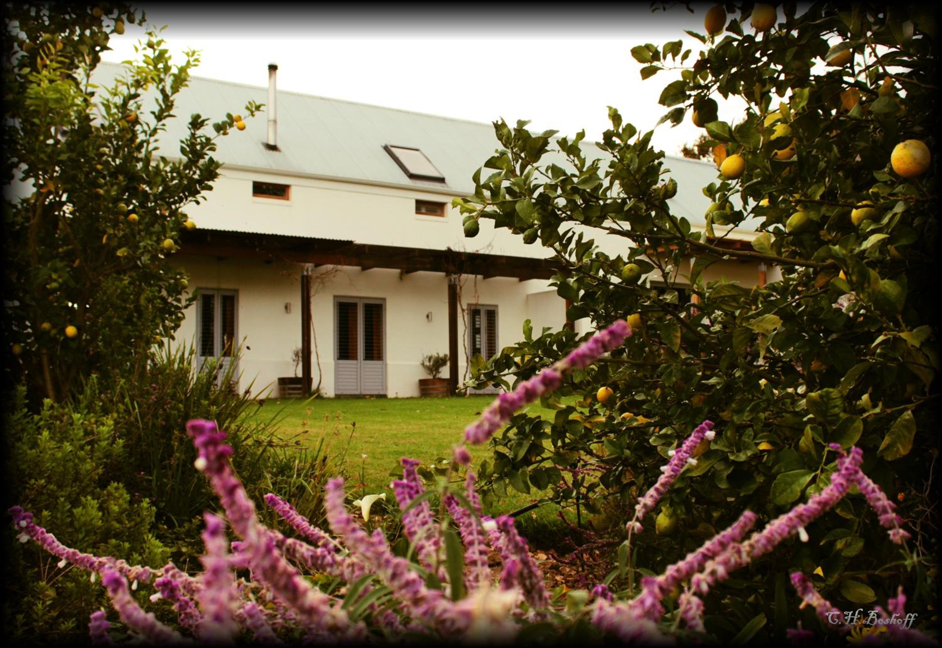 Klein Welmoed Luxury Guest House