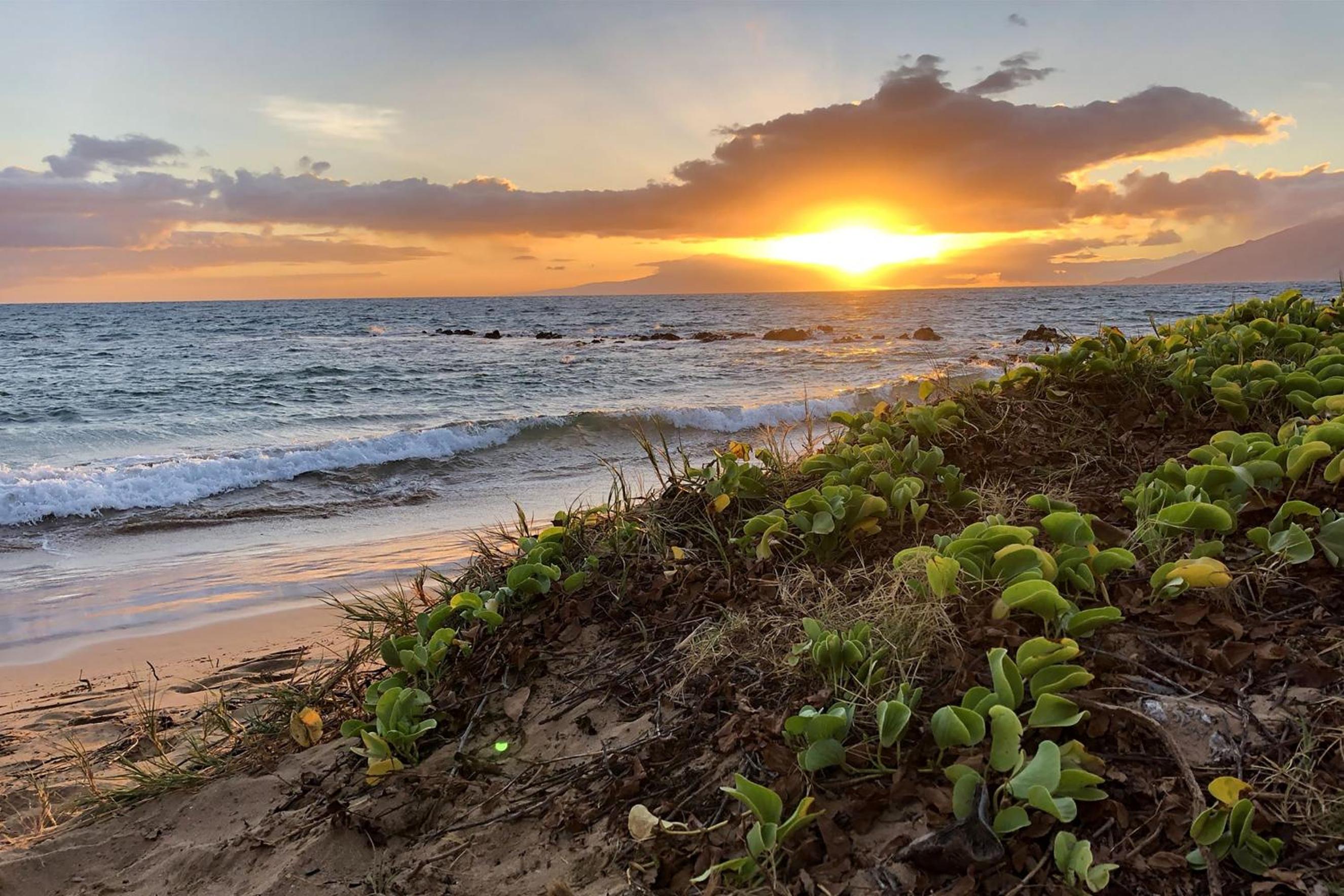 Kamaole Sands 10-113 - Ocean View, Ground Level, Stunning Renovation, Split-AC!