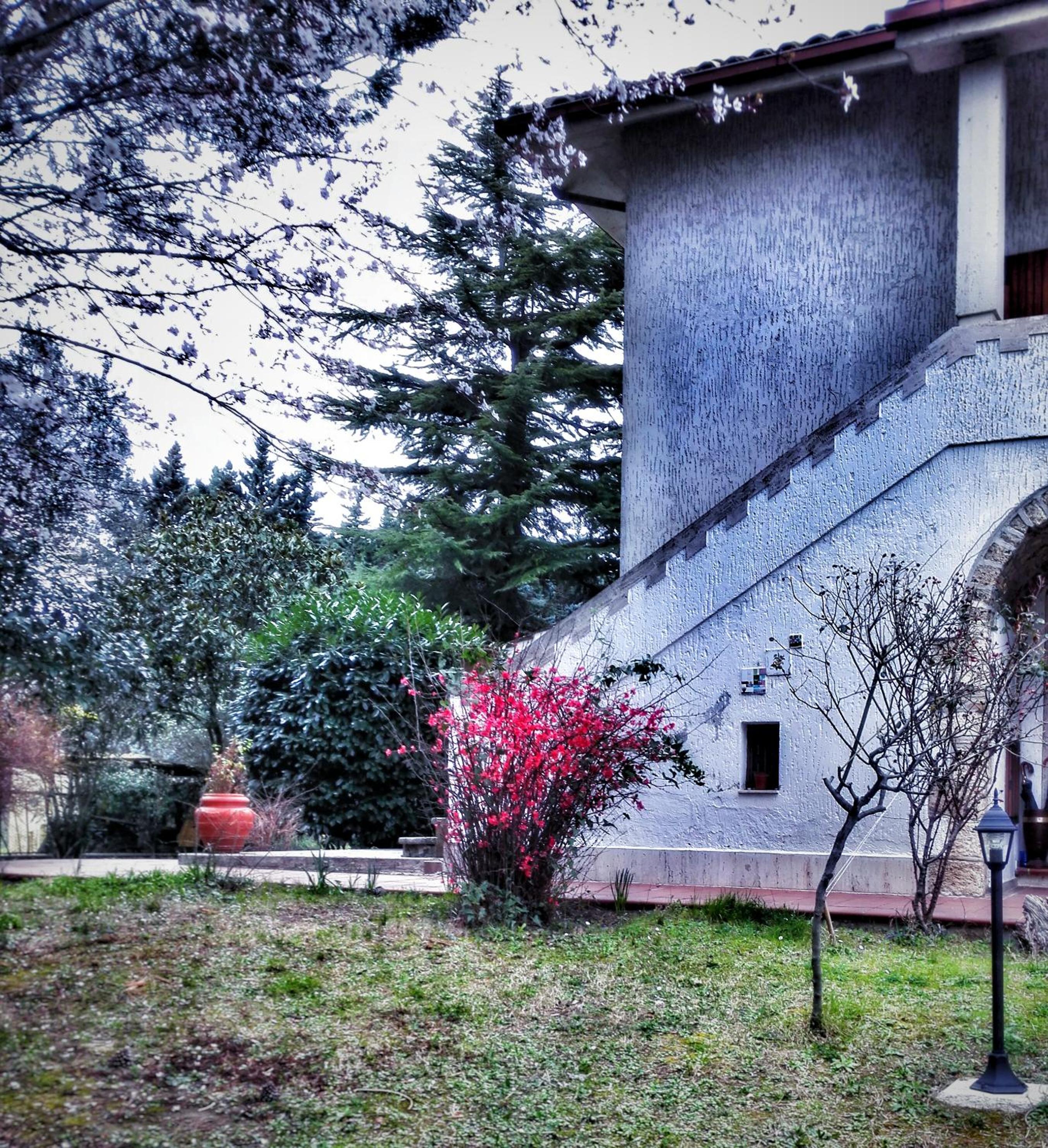 Photo 48