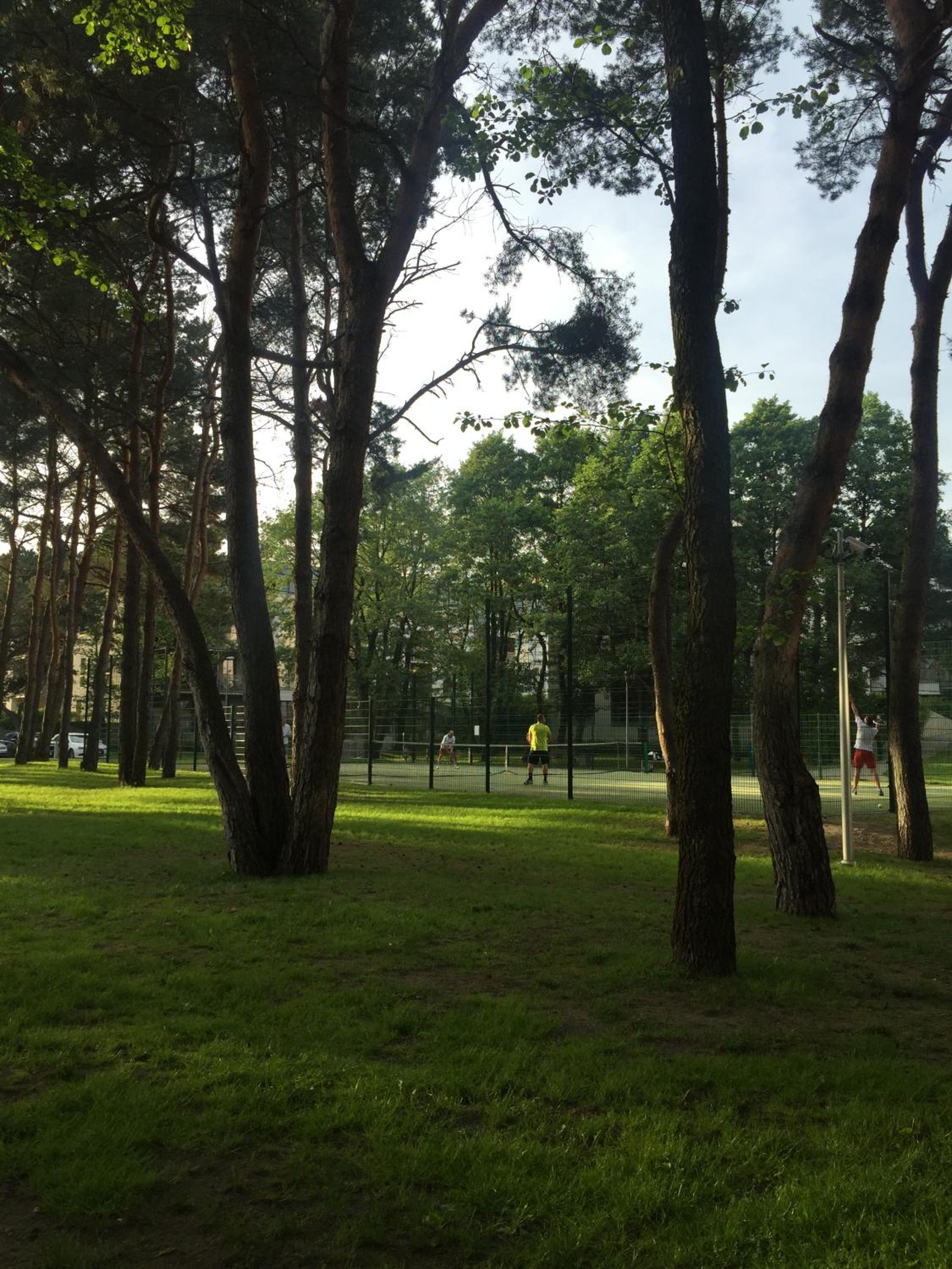 Photo 9
