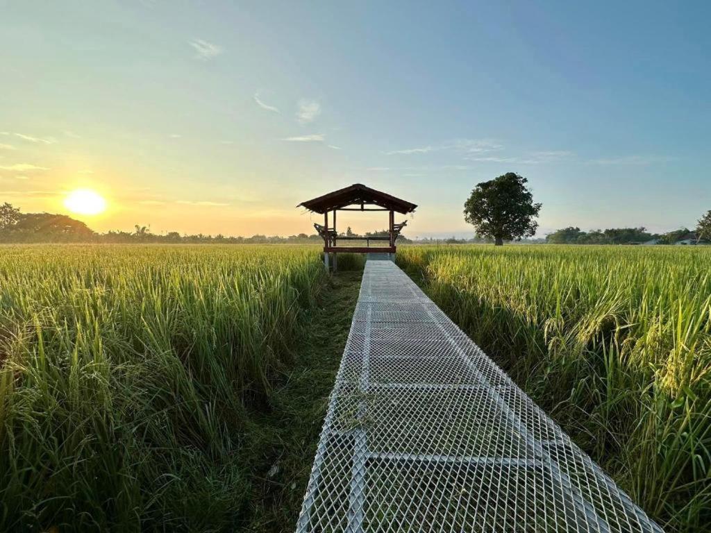 Phanumas Resort Chiang Mai