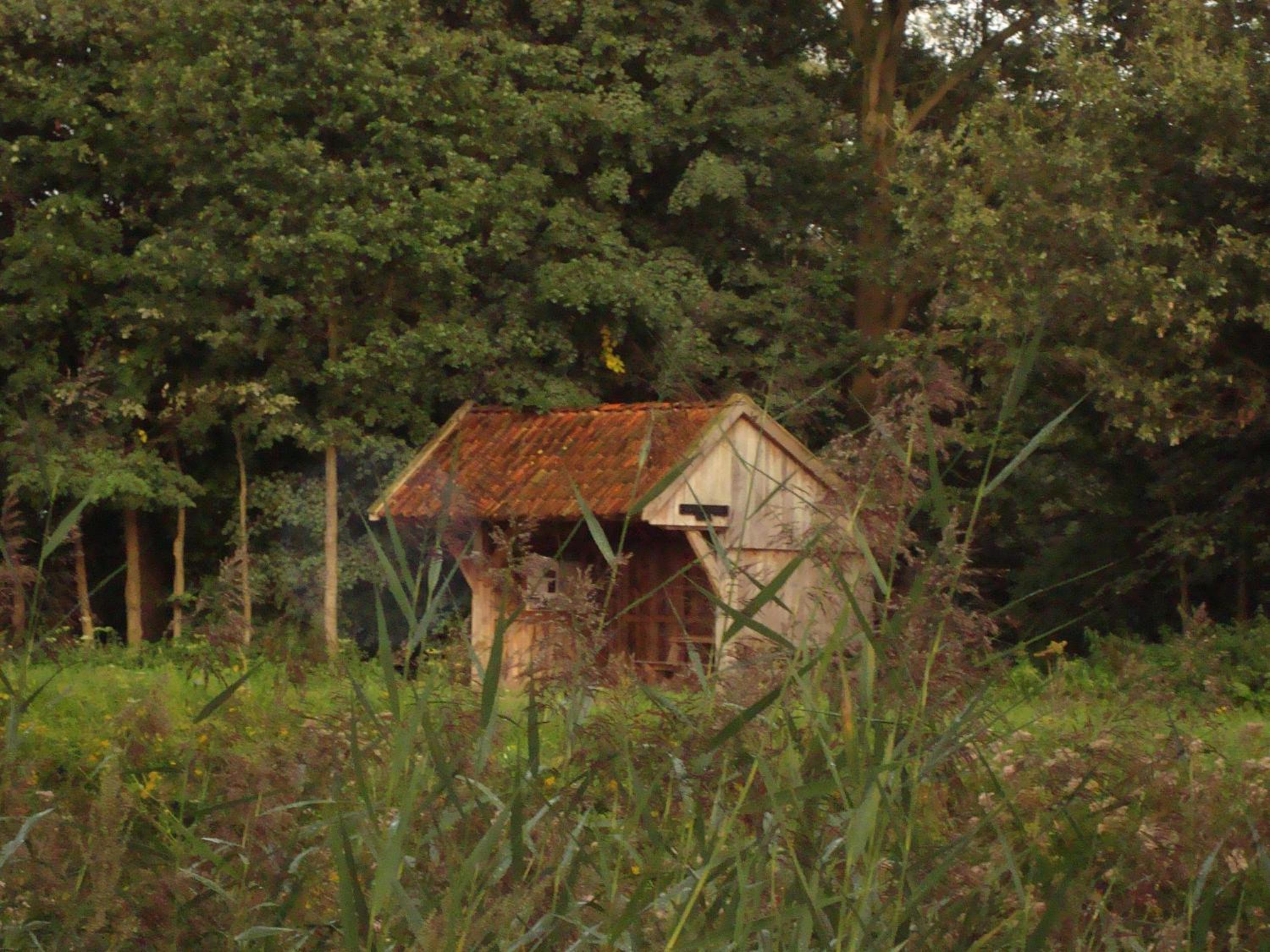 Photo 22