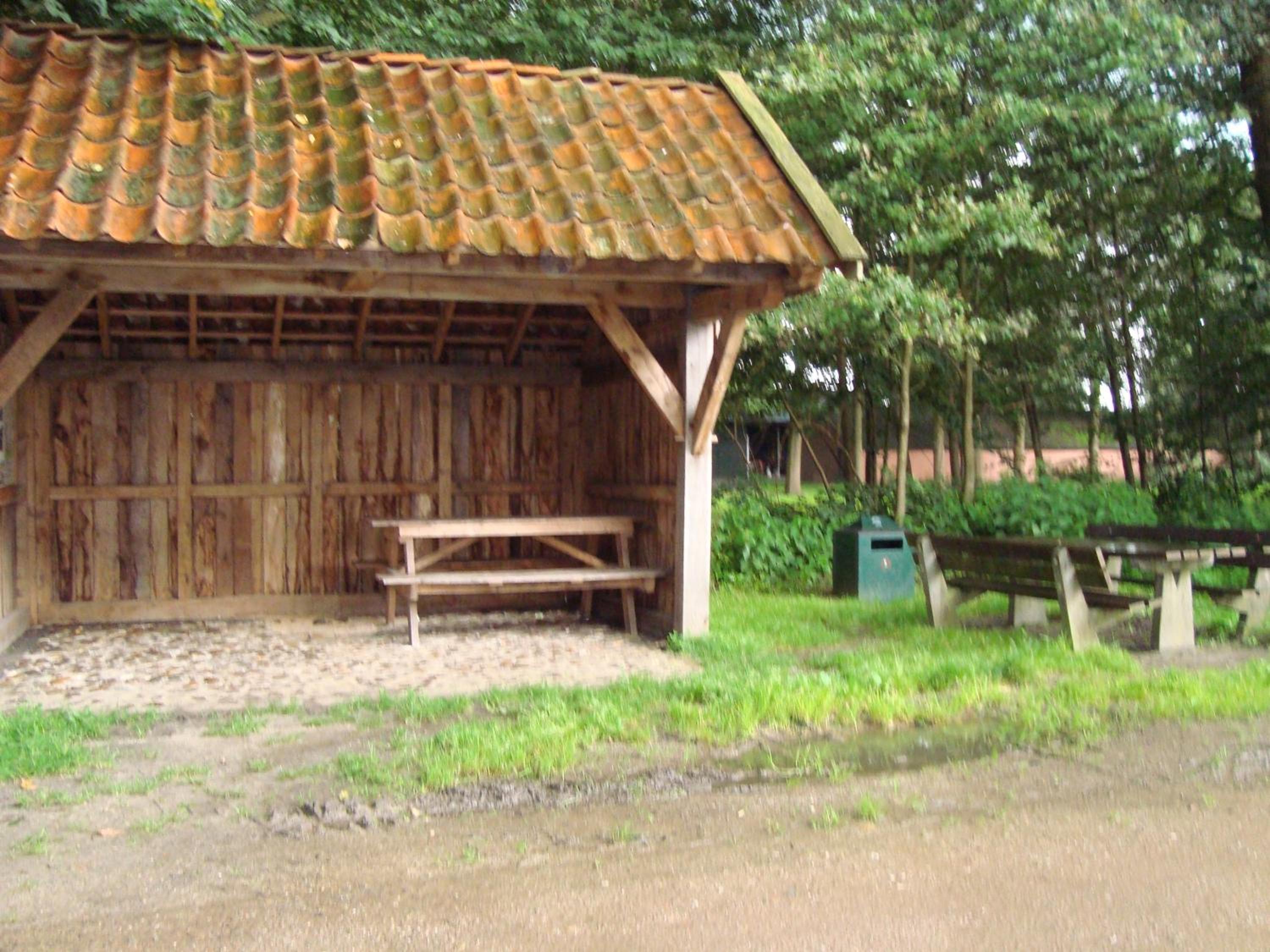 Photo 23