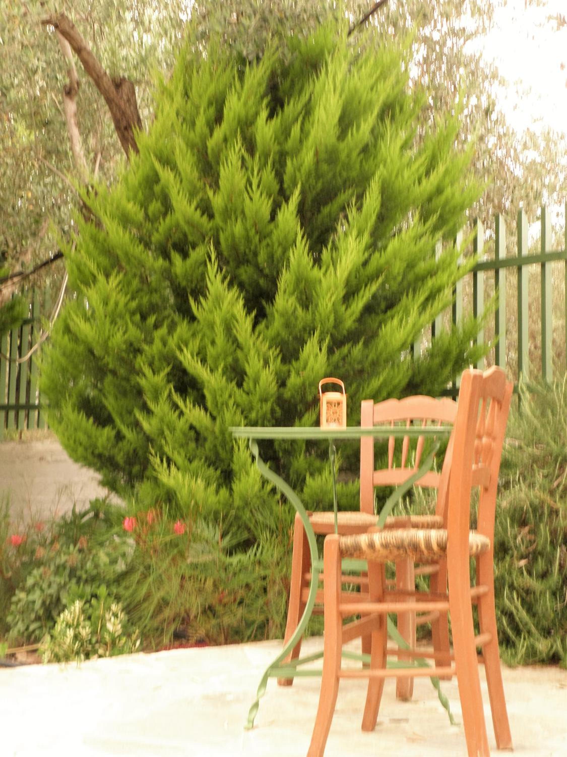 Photo 41