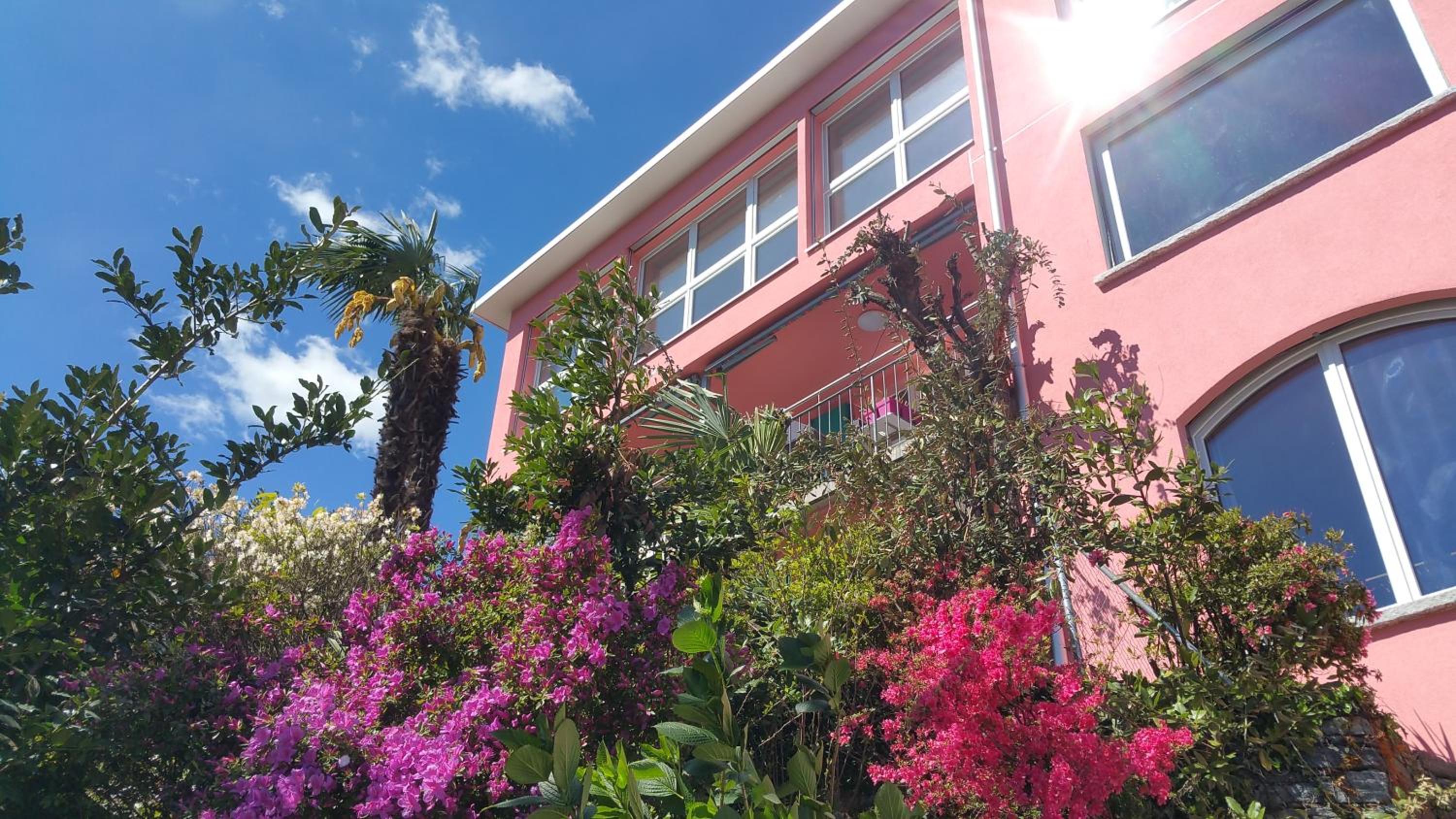 Residence Venus Garden