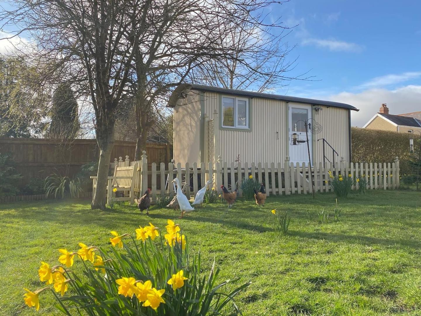 Duck House - 1 Bed Shepherds Hut - Gower
