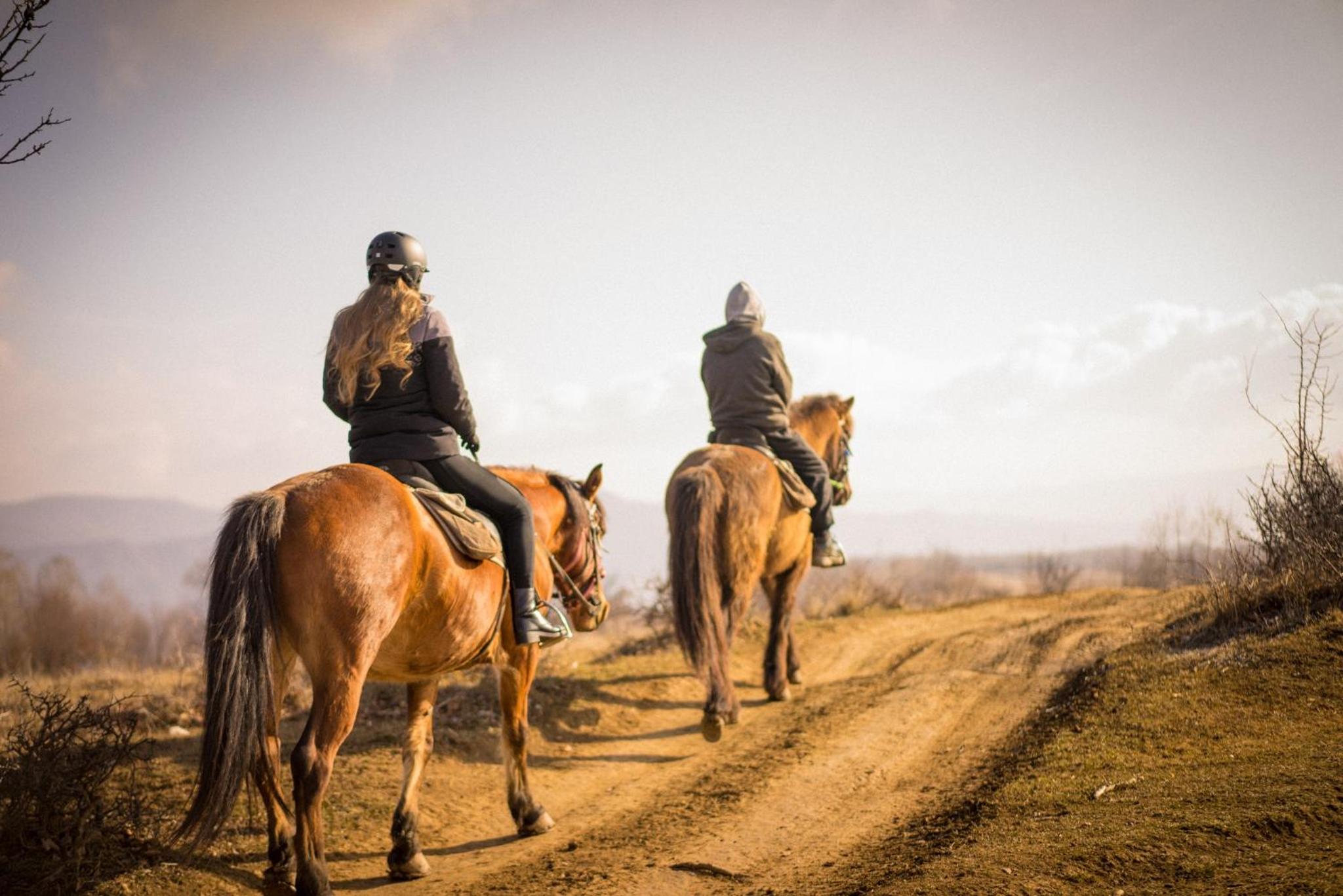 Sunset Hills Chalet