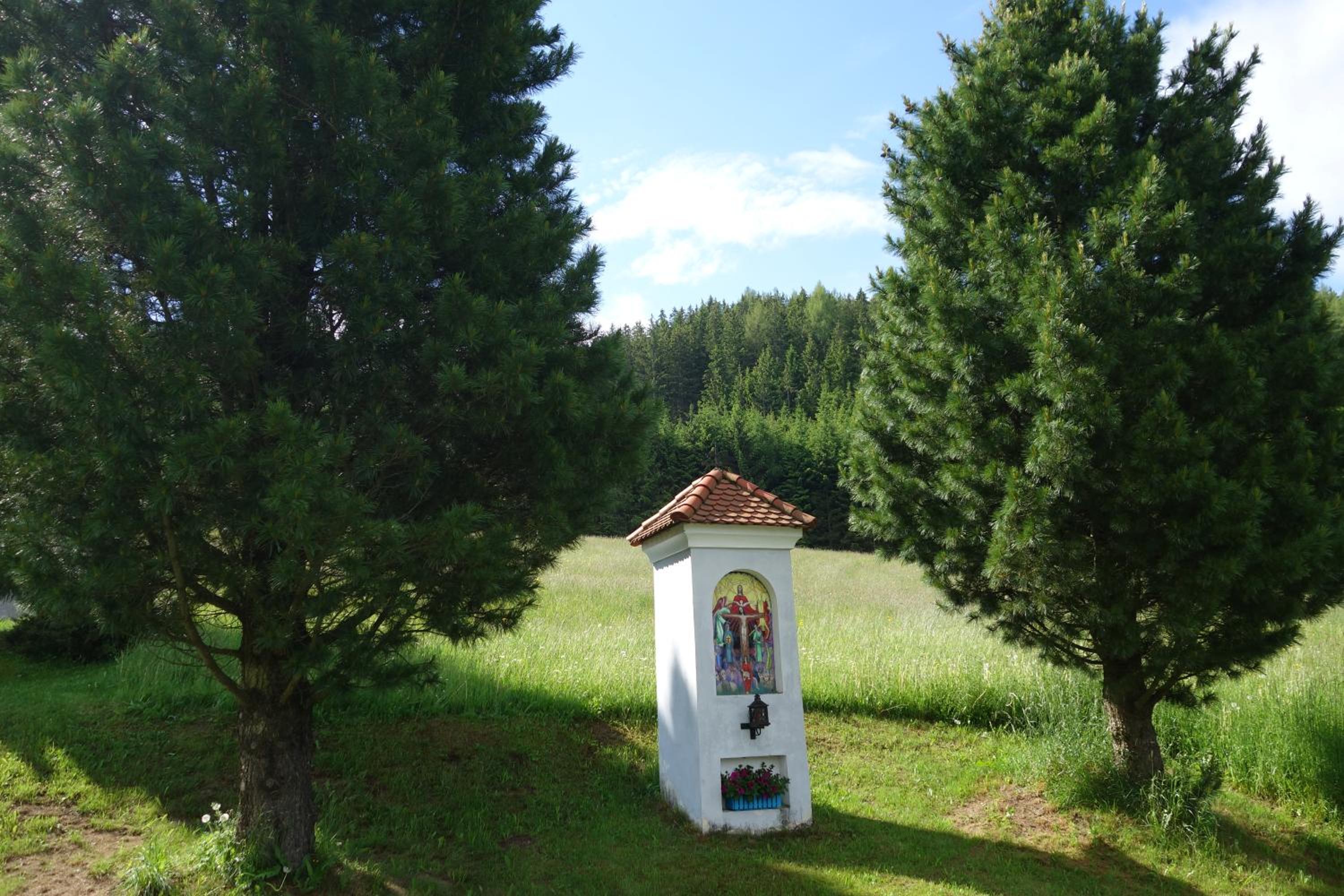 Photo 24