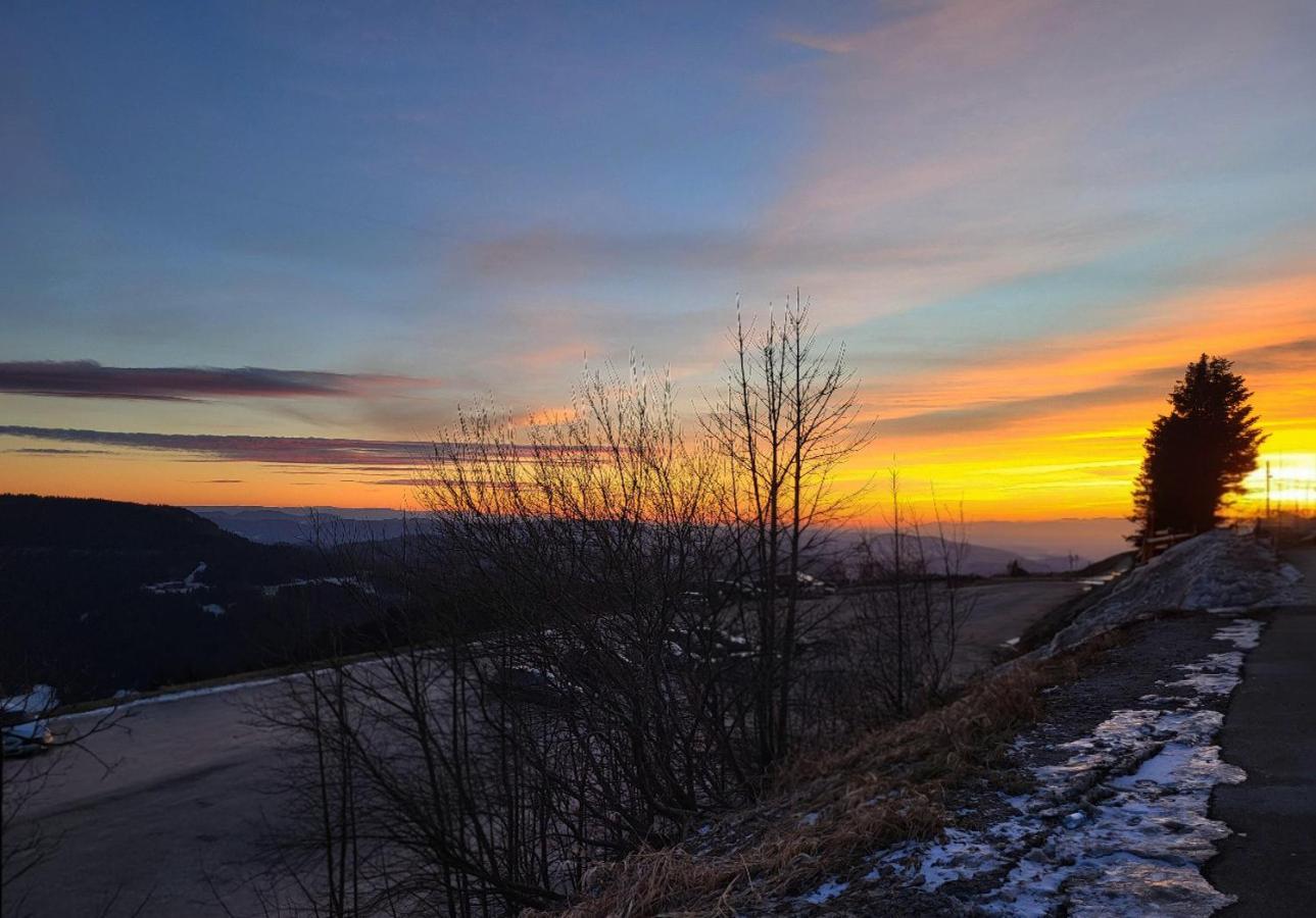 Rückzugsort mit Bergblick in Baiersbronn-Obertal - beheizter Wintergarten & kostenfreier Parkplatz - 70qm Ferienwohnung