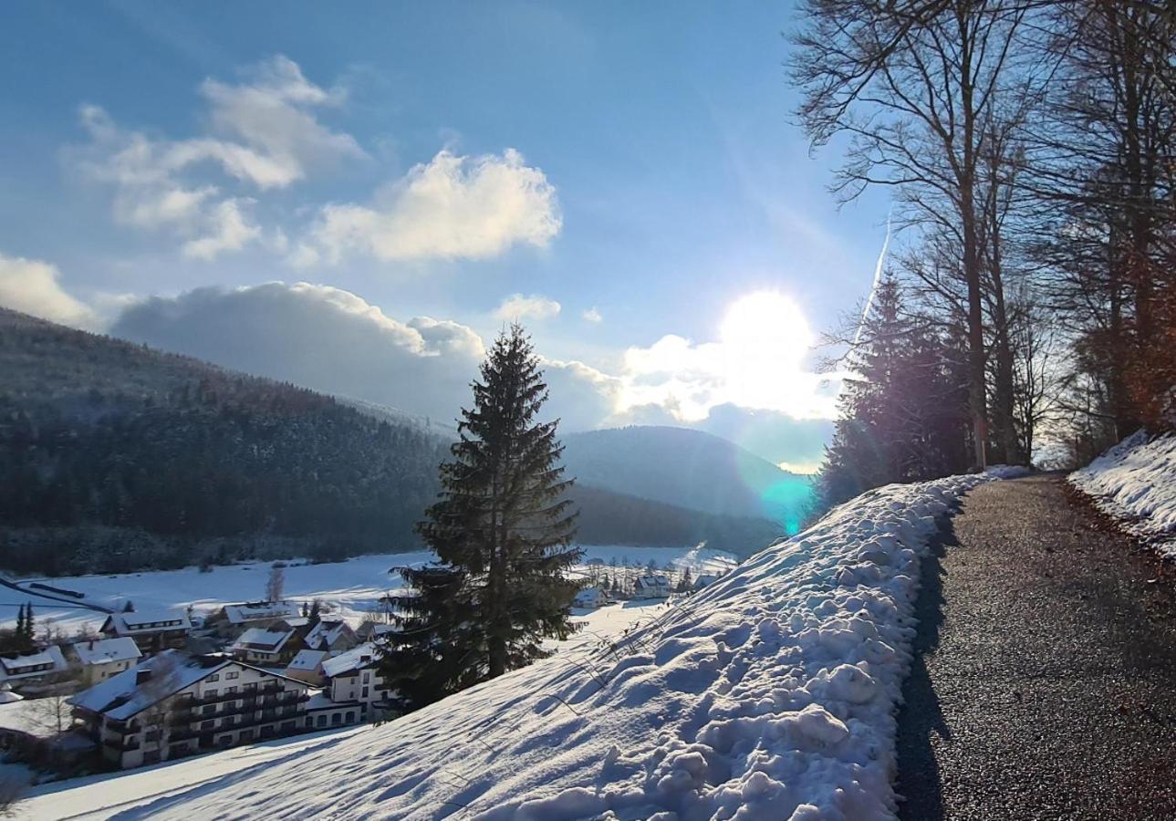 Rückzugsort mit Bergblick in Baiersbronn-Obertal - beheizter Wintergarten & kostenfreier Parkplatz - 70qm Ferienwohnung