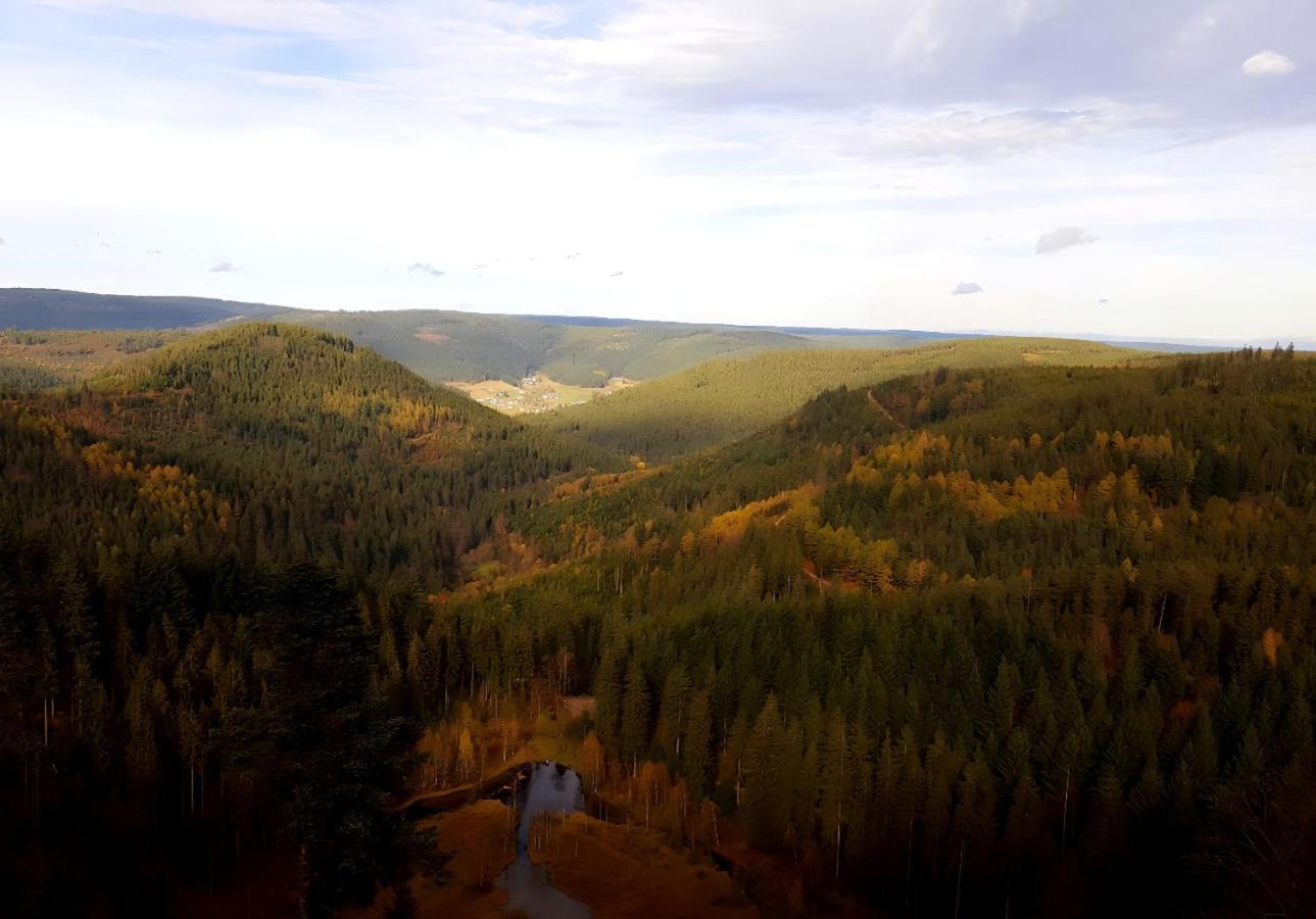 Rückzugsort mit Bergblick in Baiersbronn-Obertal - beheizter Wintergarten & kostenfreier Parkplatz - 70qm Ferienwohnung