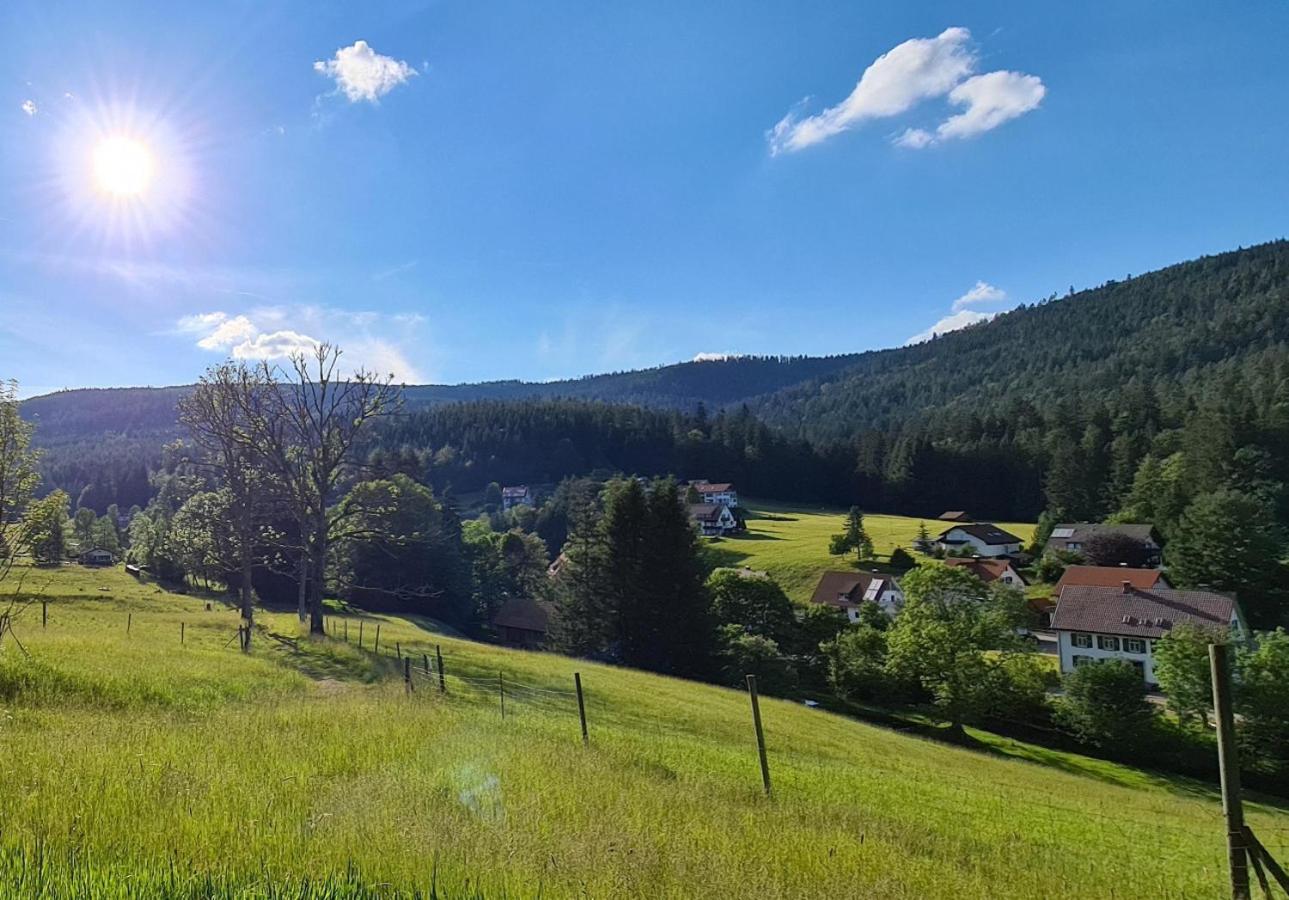 Rückzugsort mit Bergblick in Baiersbronn-Obertal - beheizter Wintergarten & kostenfreier Parkplatz - 70qm Ferienwohnung