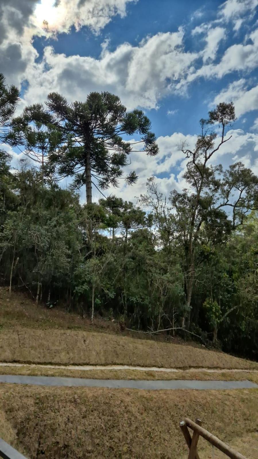 Eco Cabana Mantiqueira