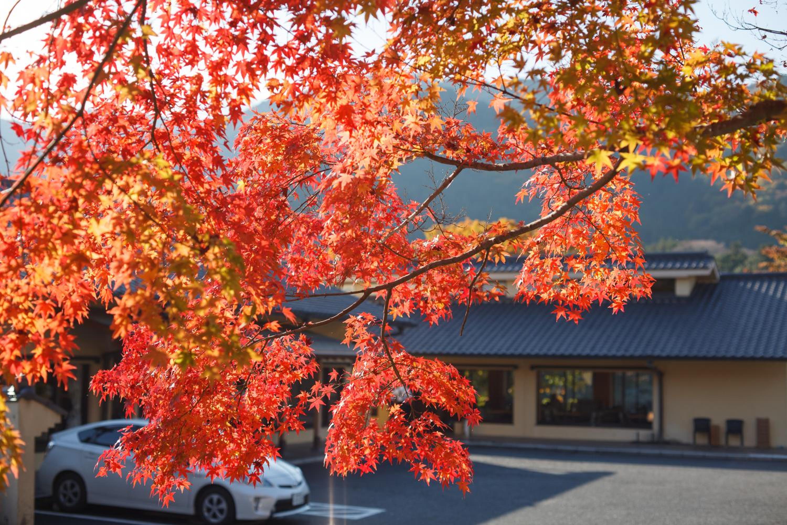 Okutamaji