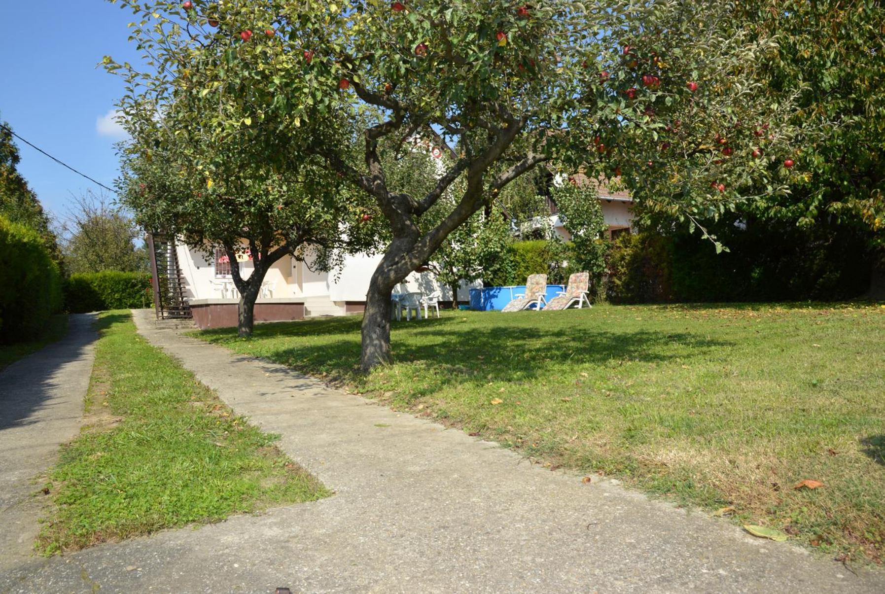 Photo 33