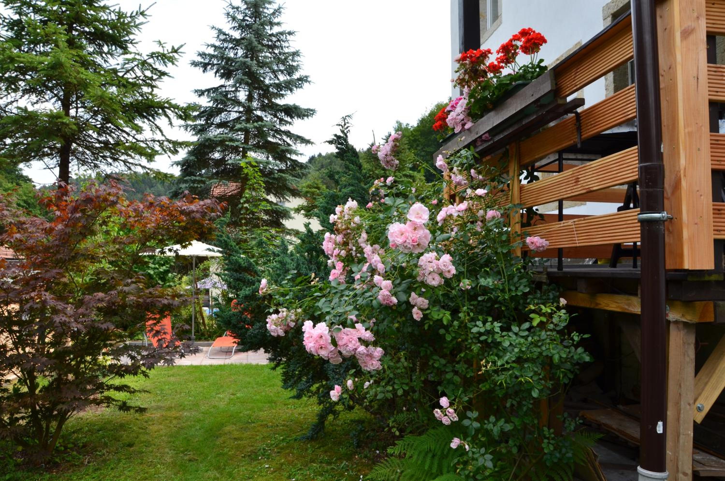 Sonnenhof Bad Schandau