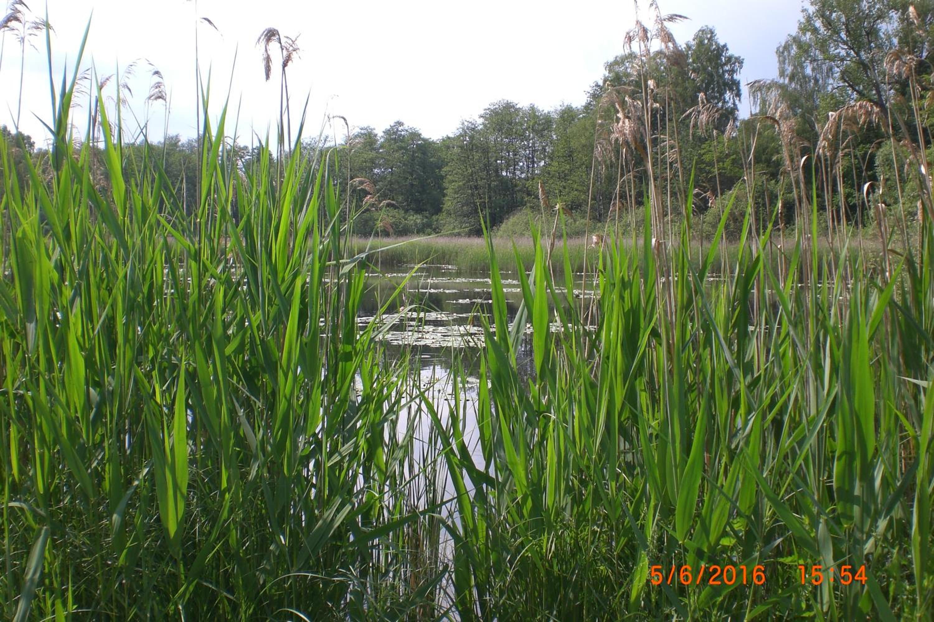 Photo 74