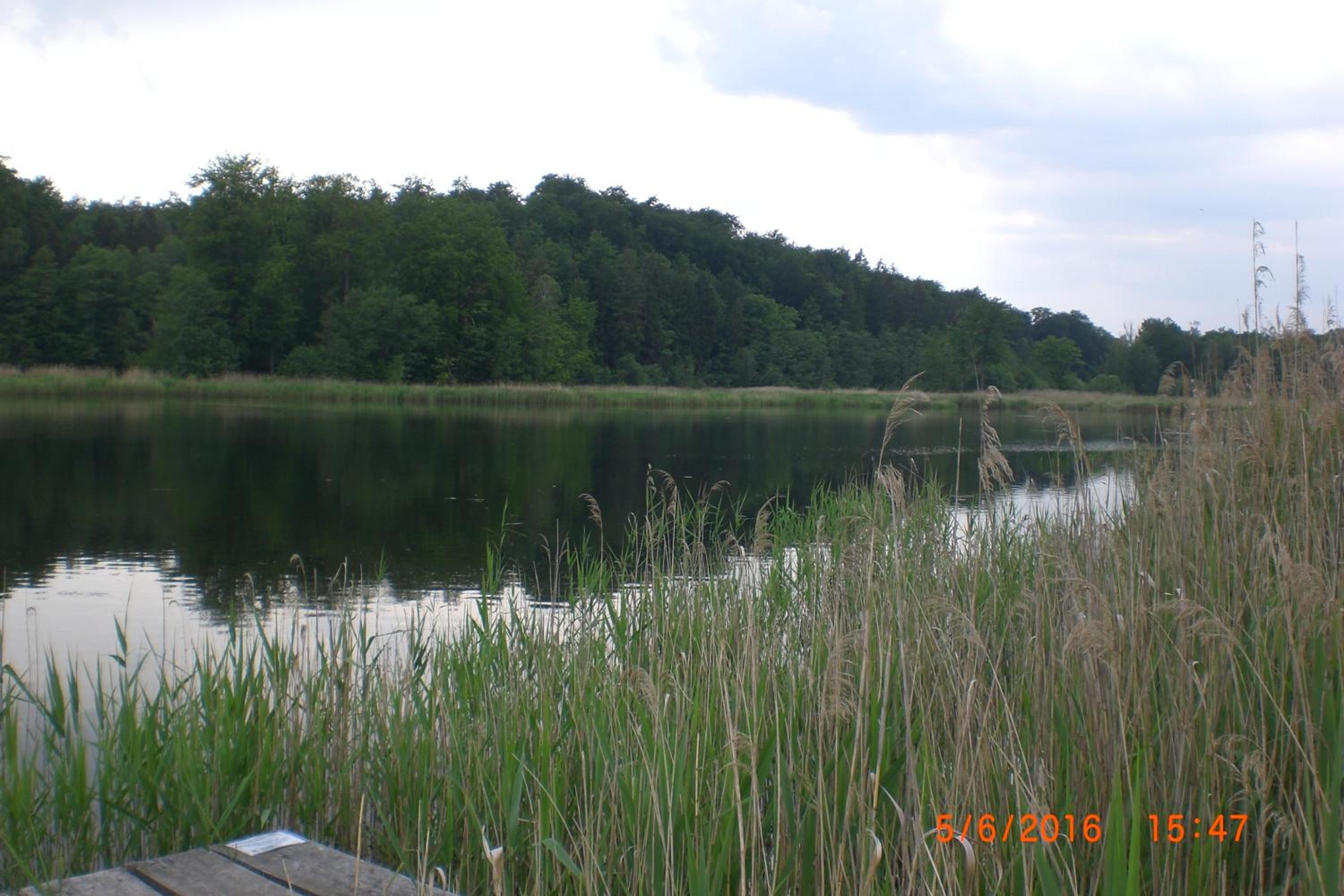 Photo 75