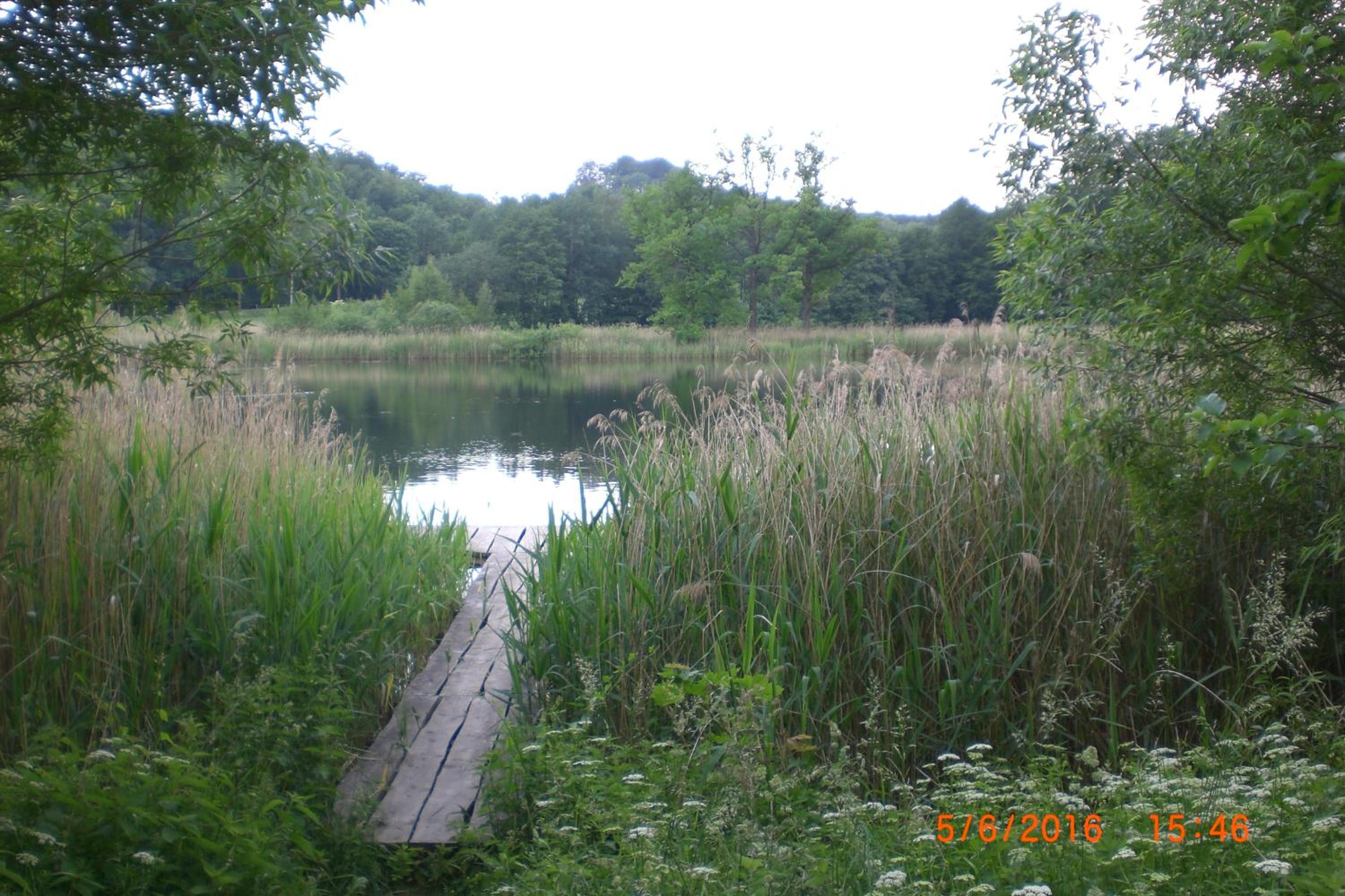 Photo 73