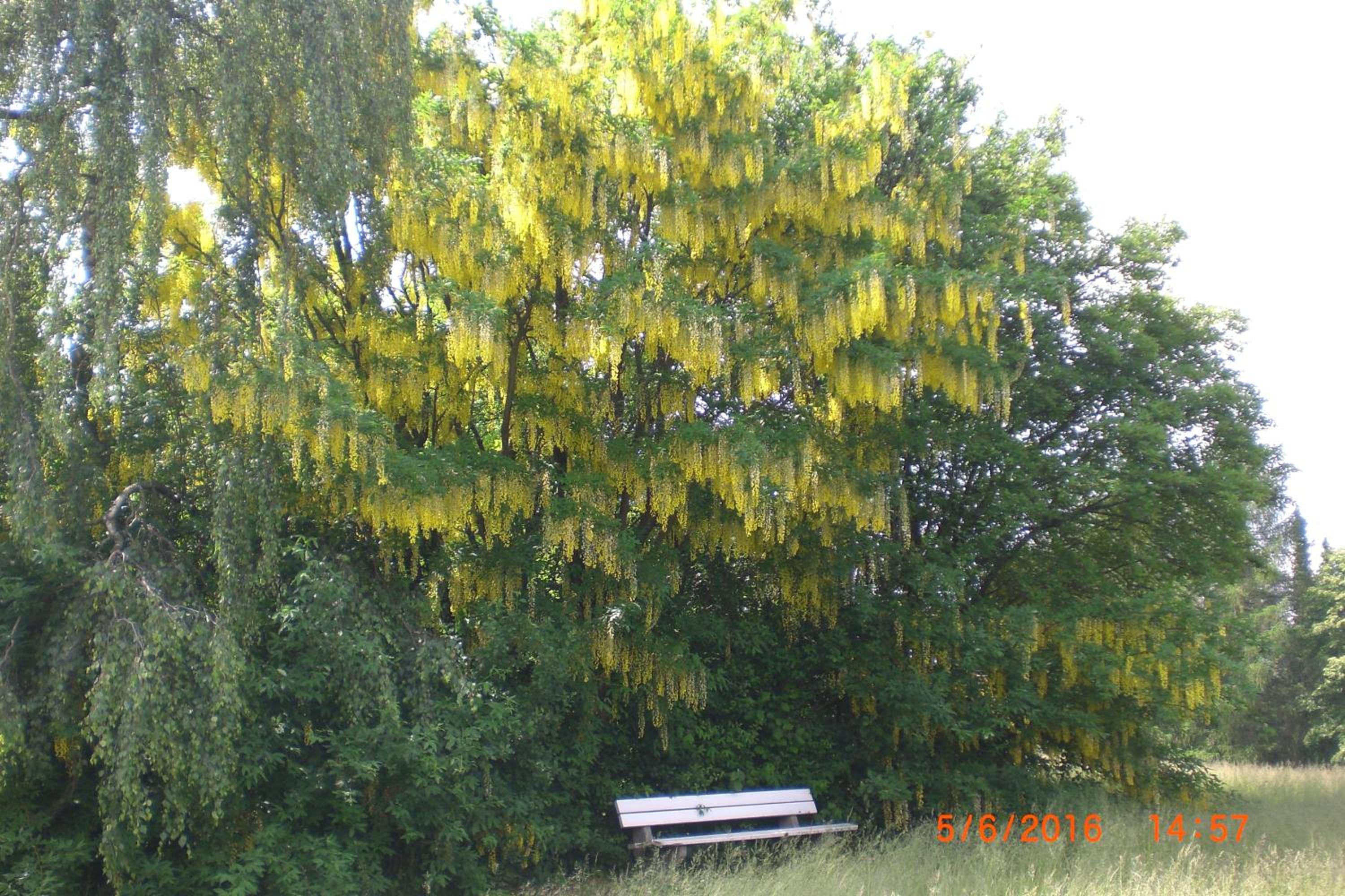 Photo 71