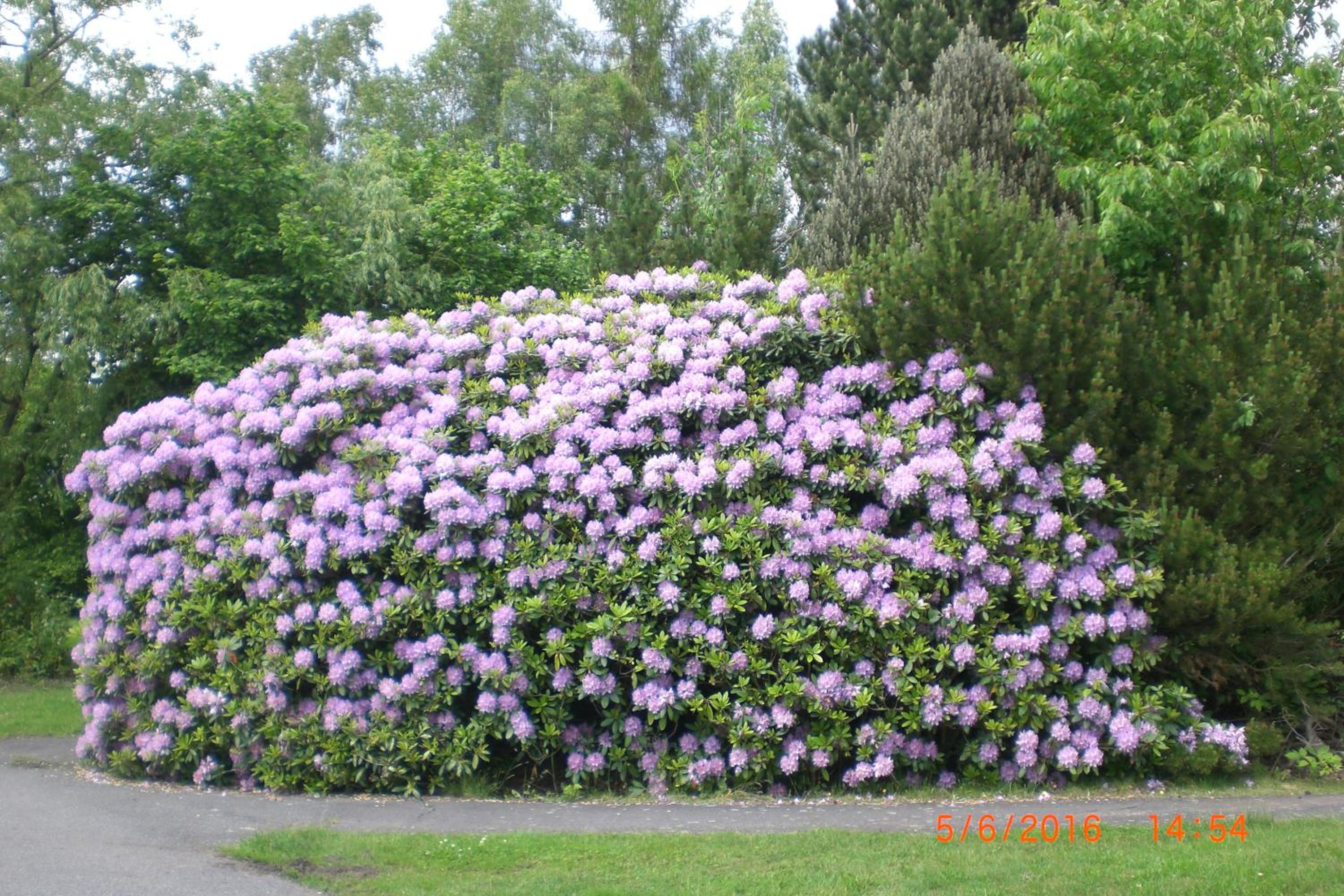 Photo 70