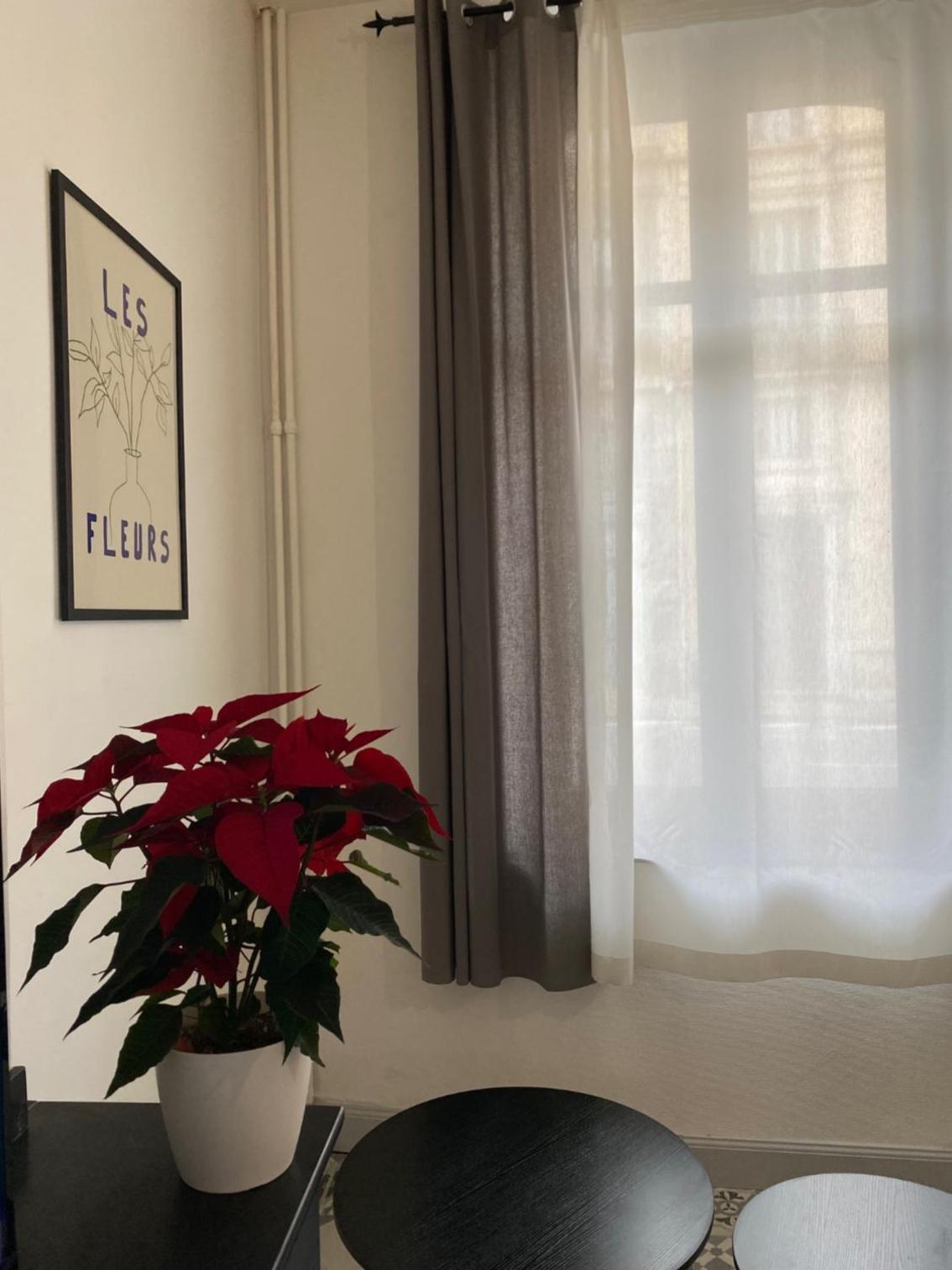Carcassonne Bastide Appartements, photo 90