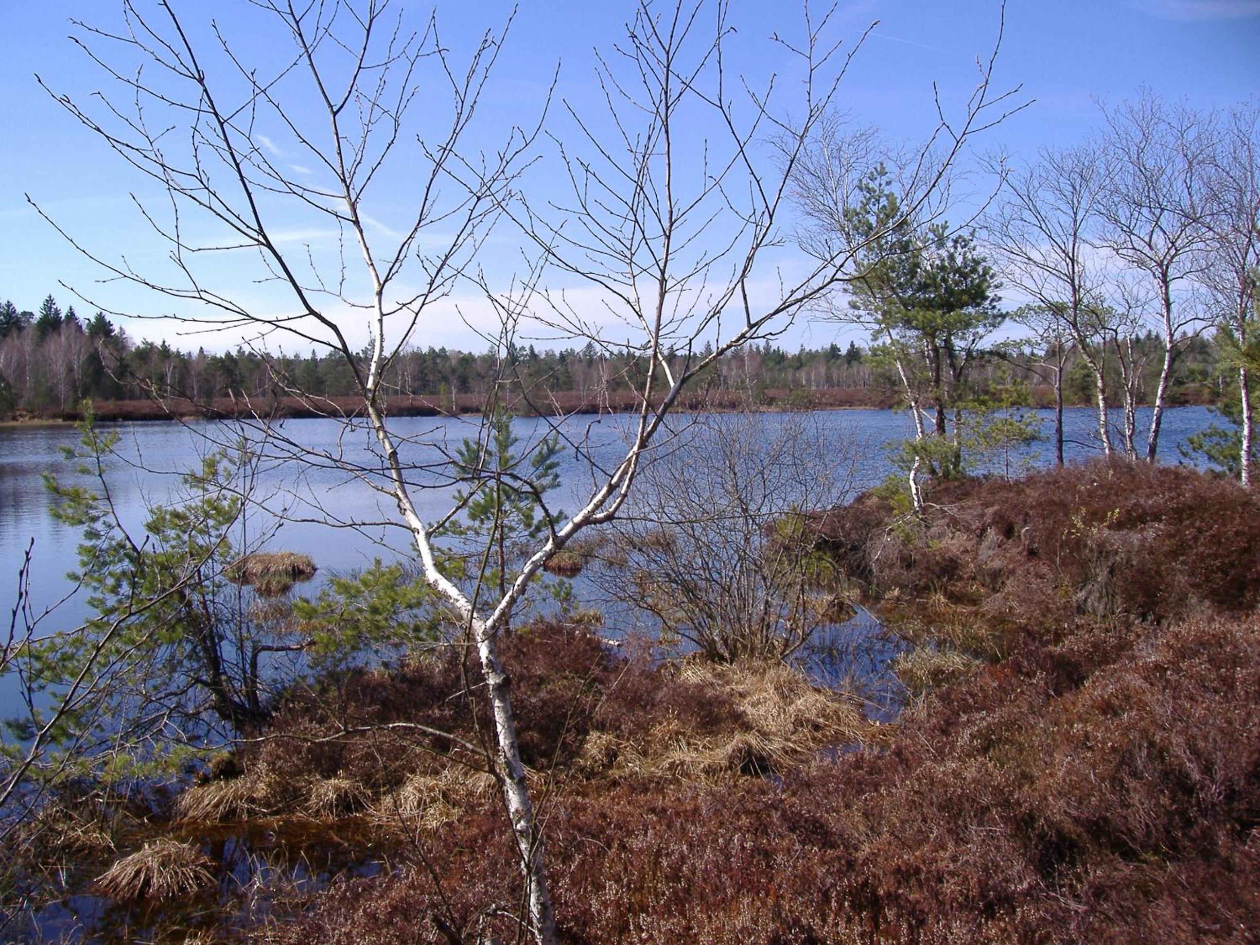 Photo 28