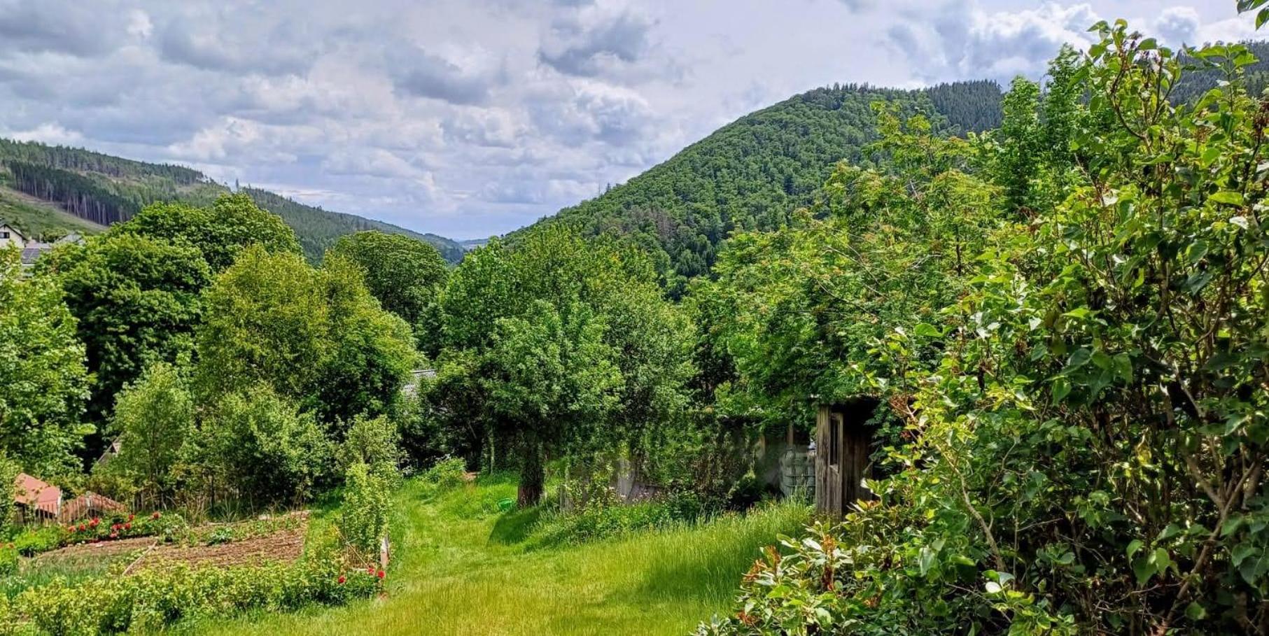 Ferienhütte Ilmtalblick