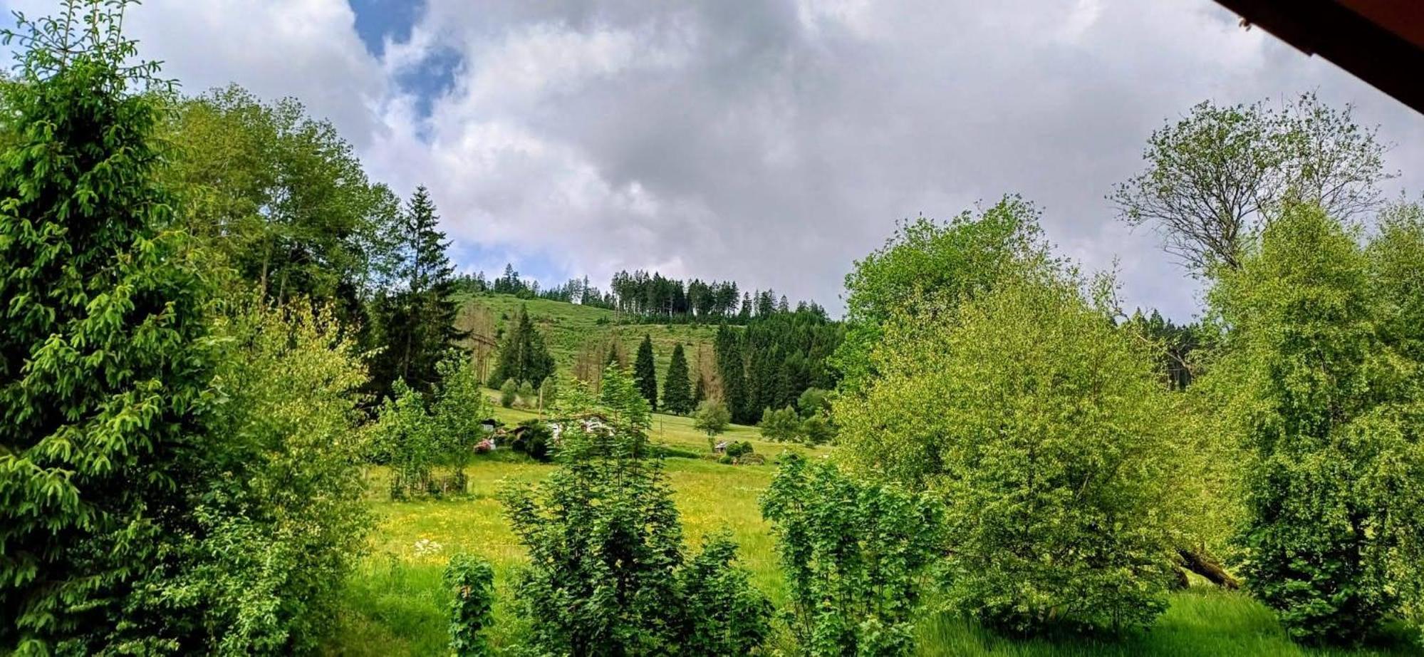 Ferienhütte Ilmtalblick