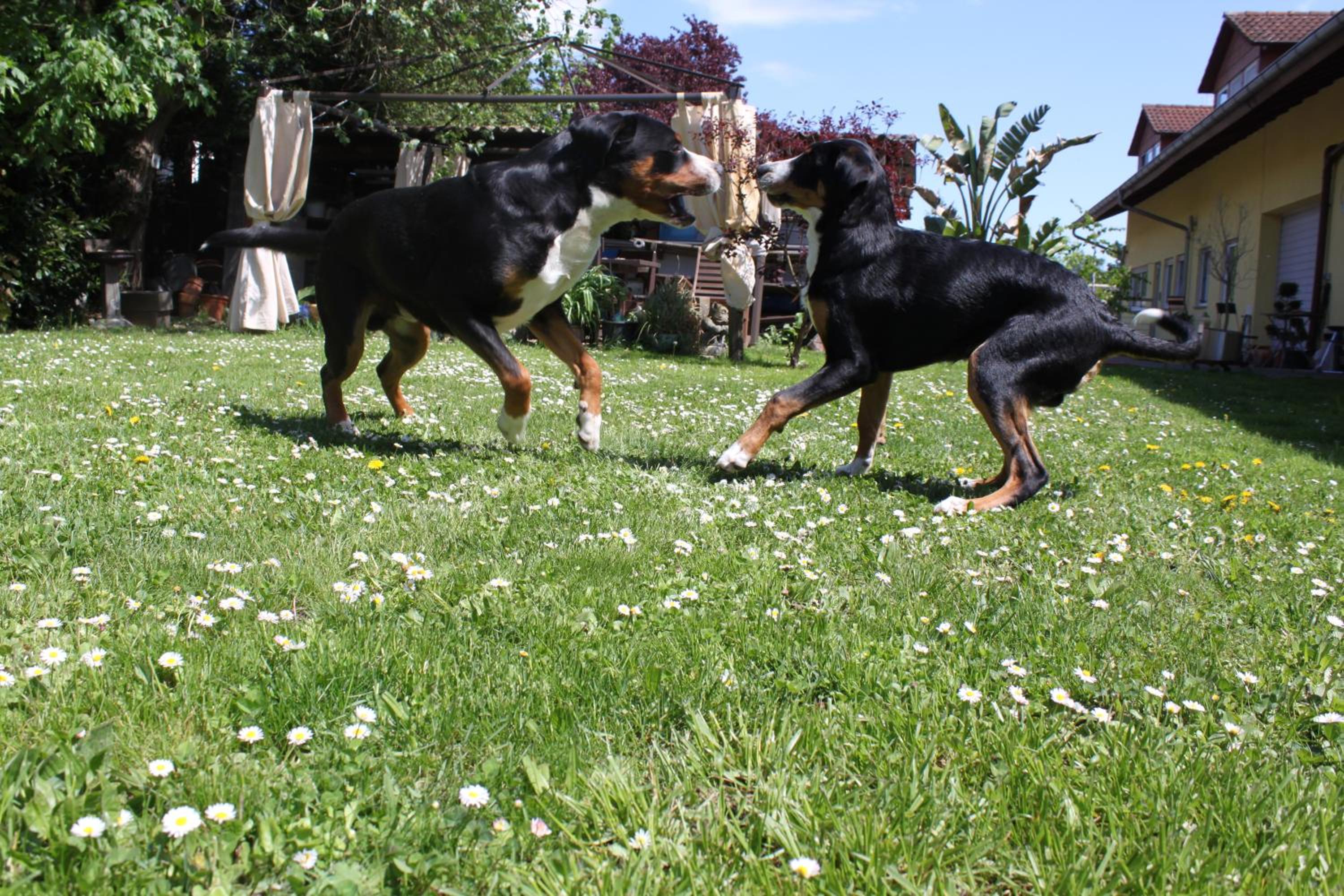 Photo 23