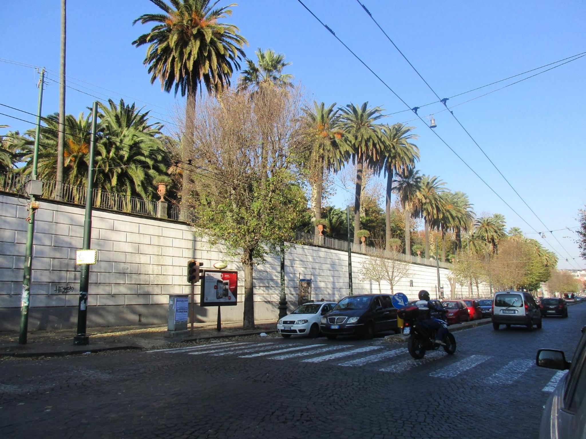 Nell'Antico Palazzo Salsi