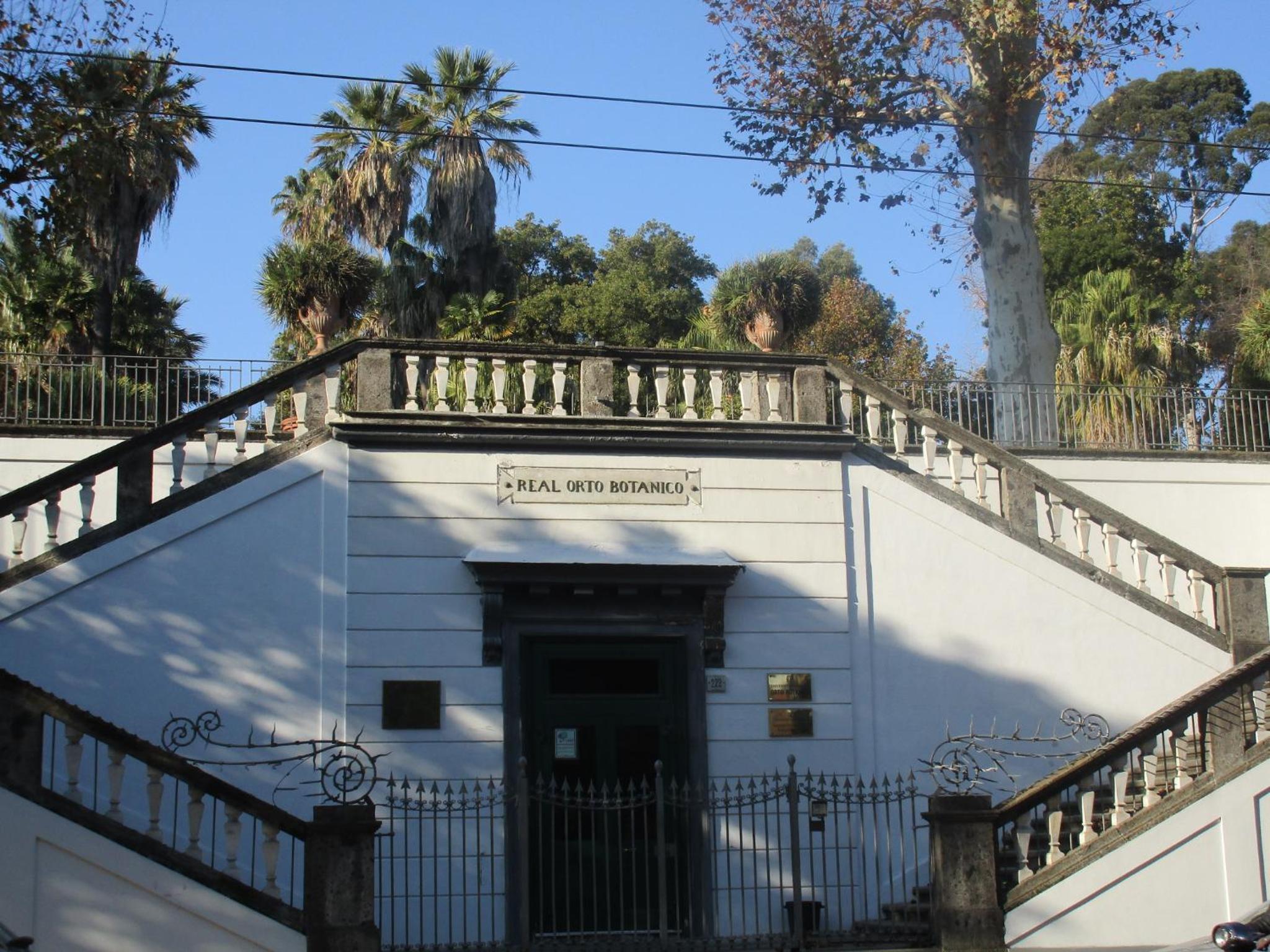 Nell'Antico Palazzo Salsi