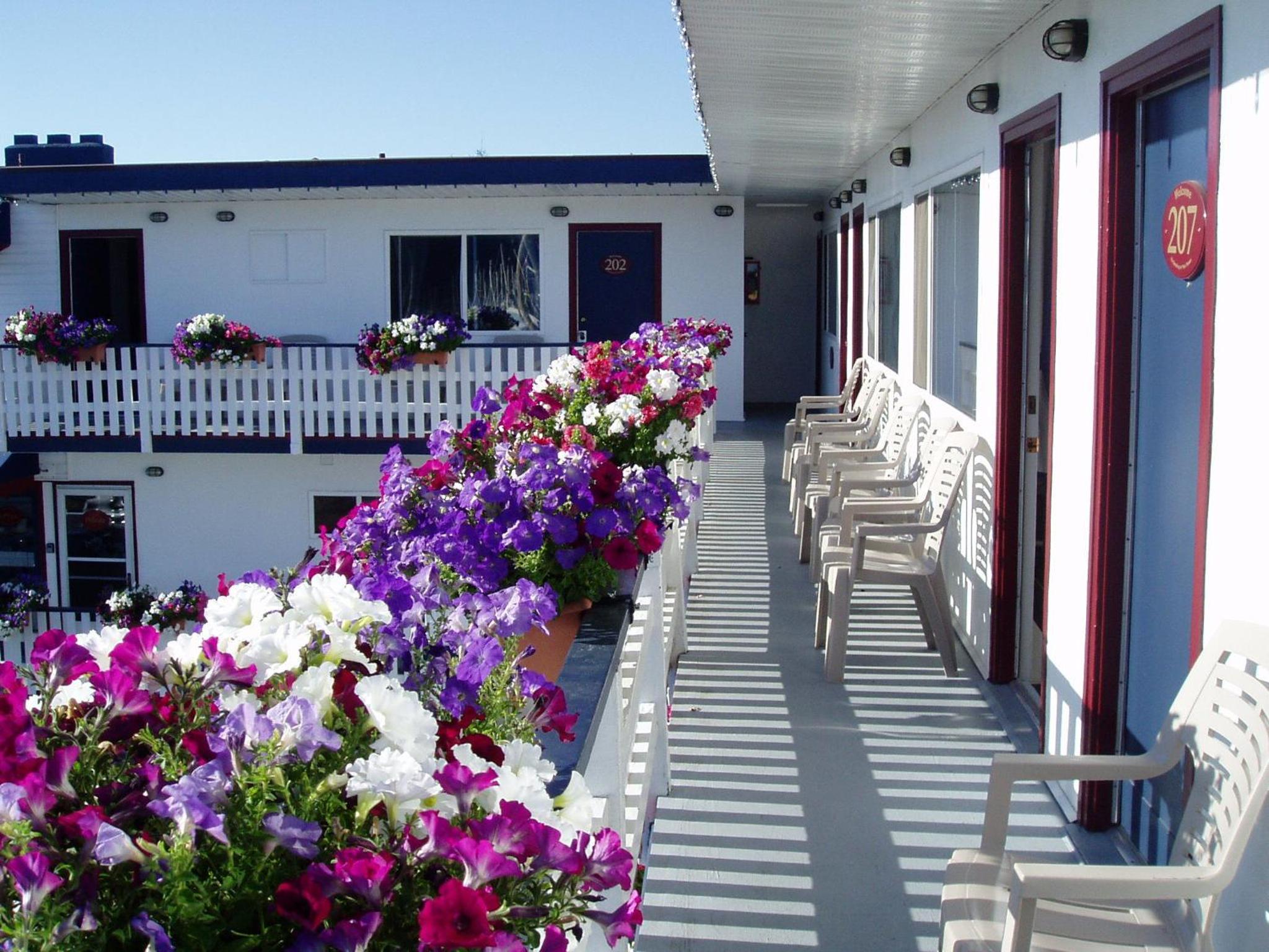 Buccaneer Inn