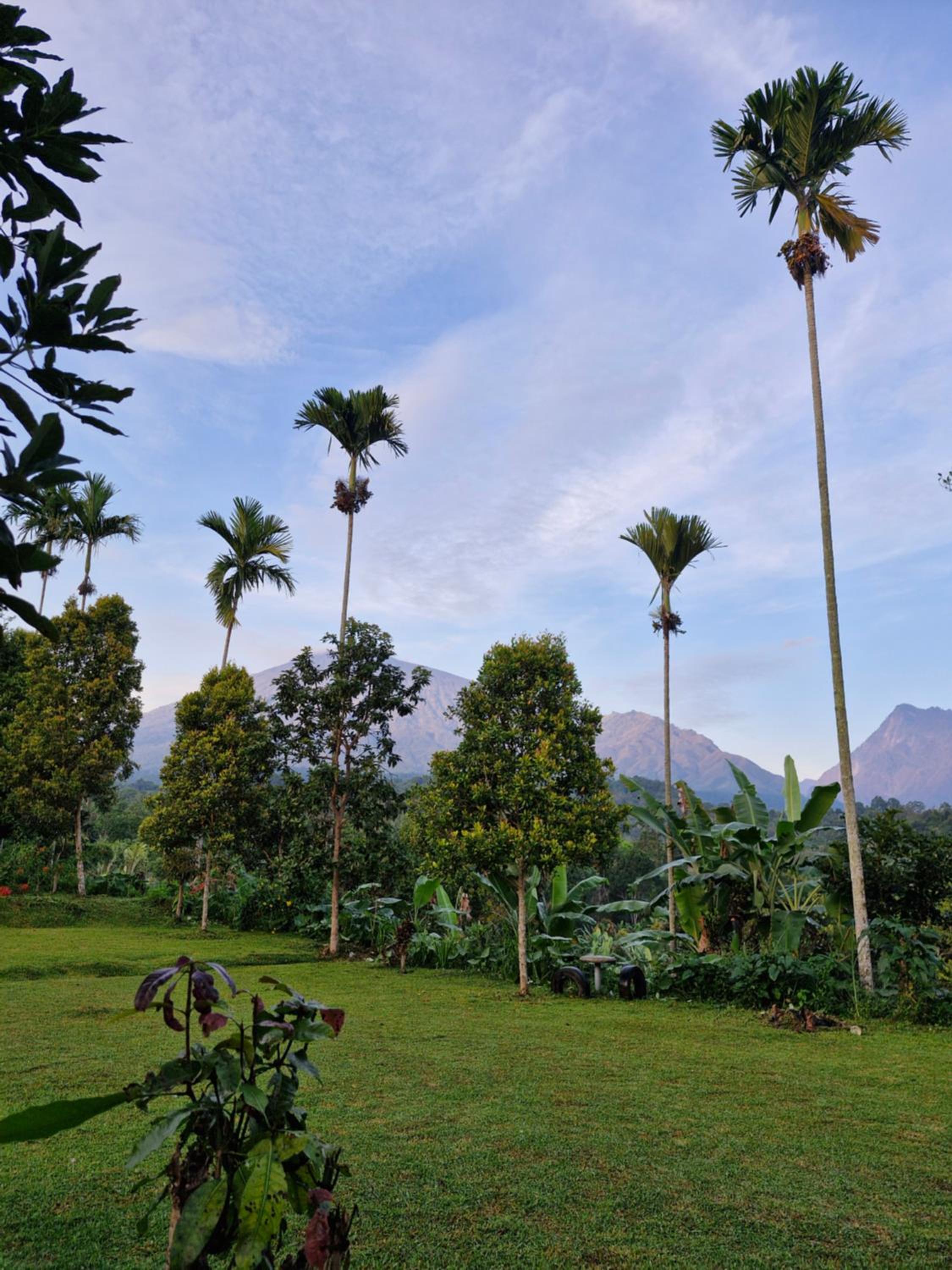 Sajang Valley Estate