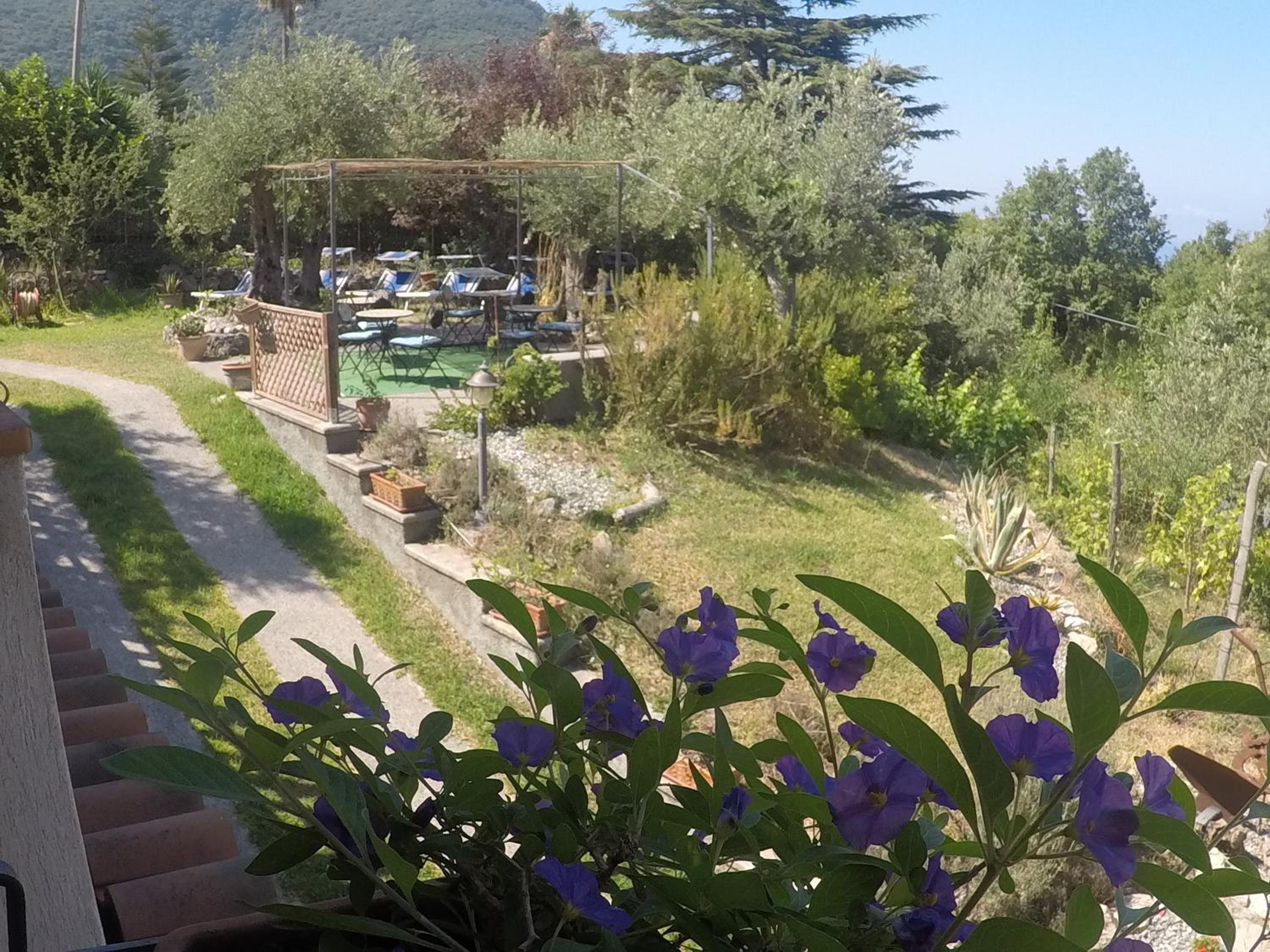 Photo 43