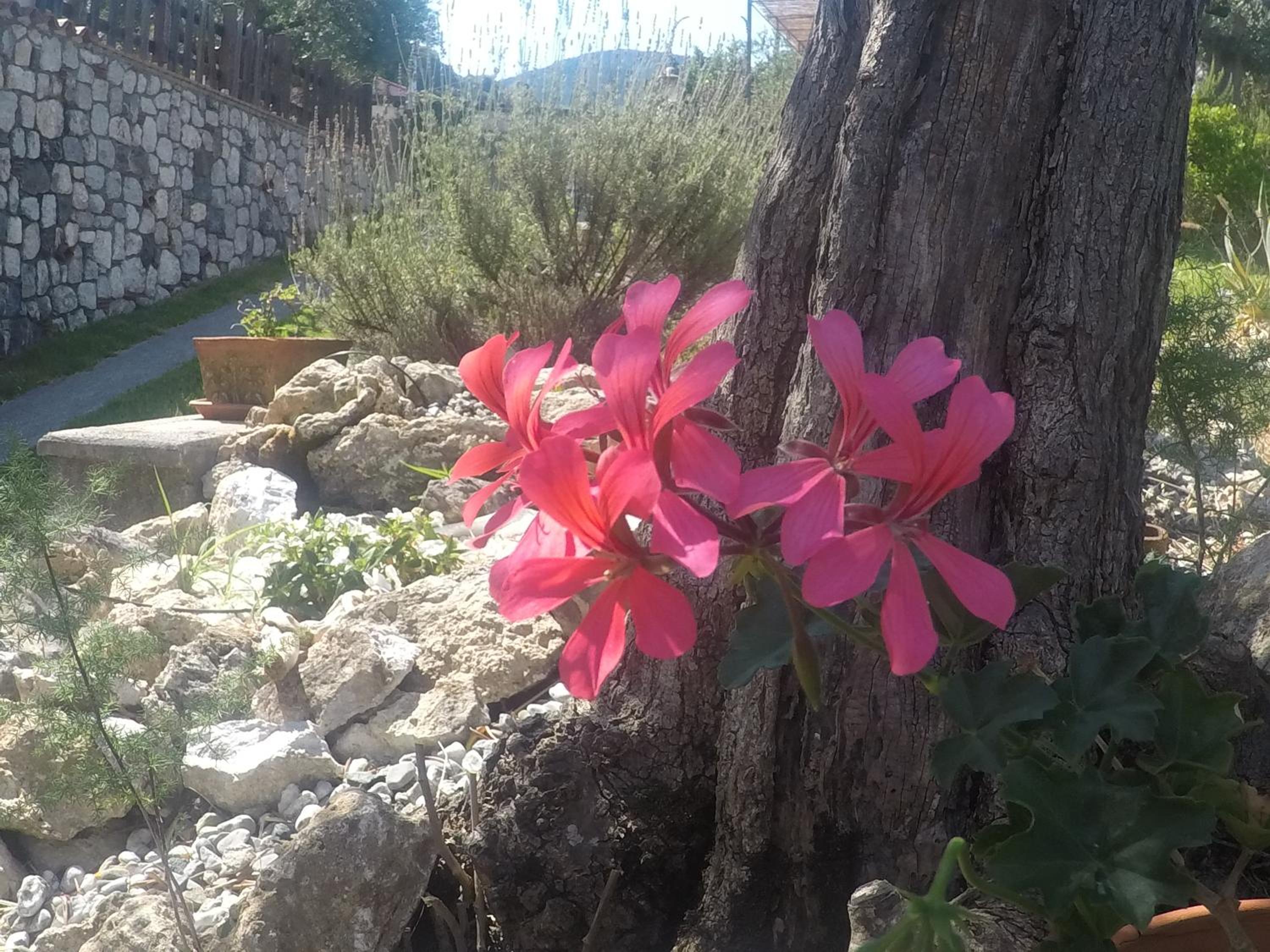 Photo 25