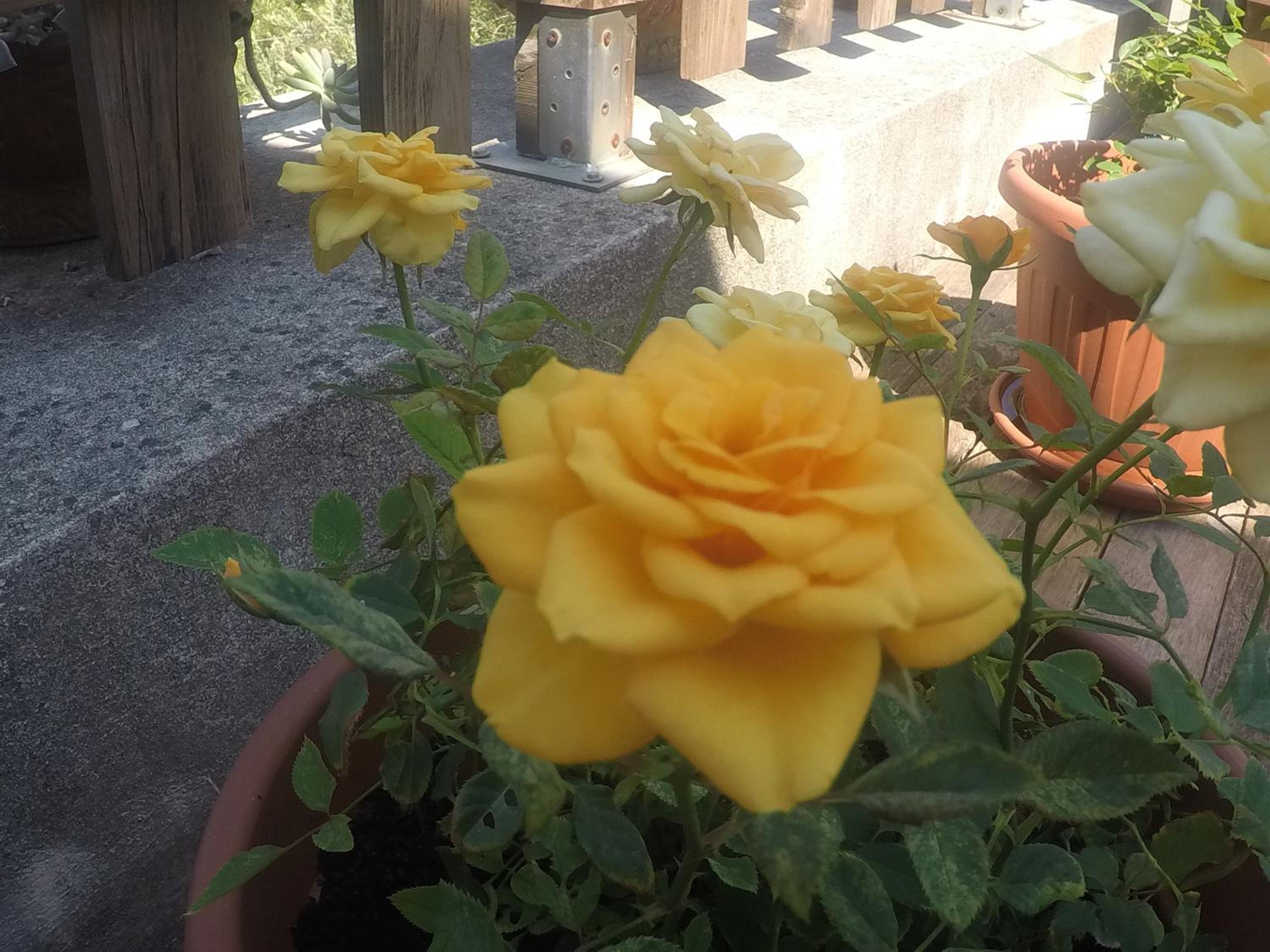 Photo 10