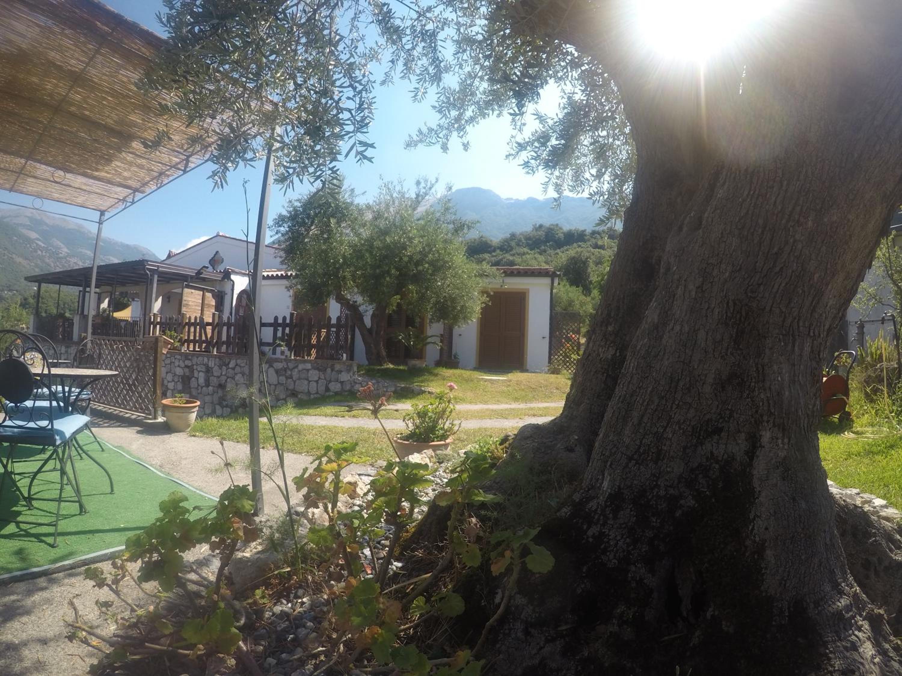 Photo 19