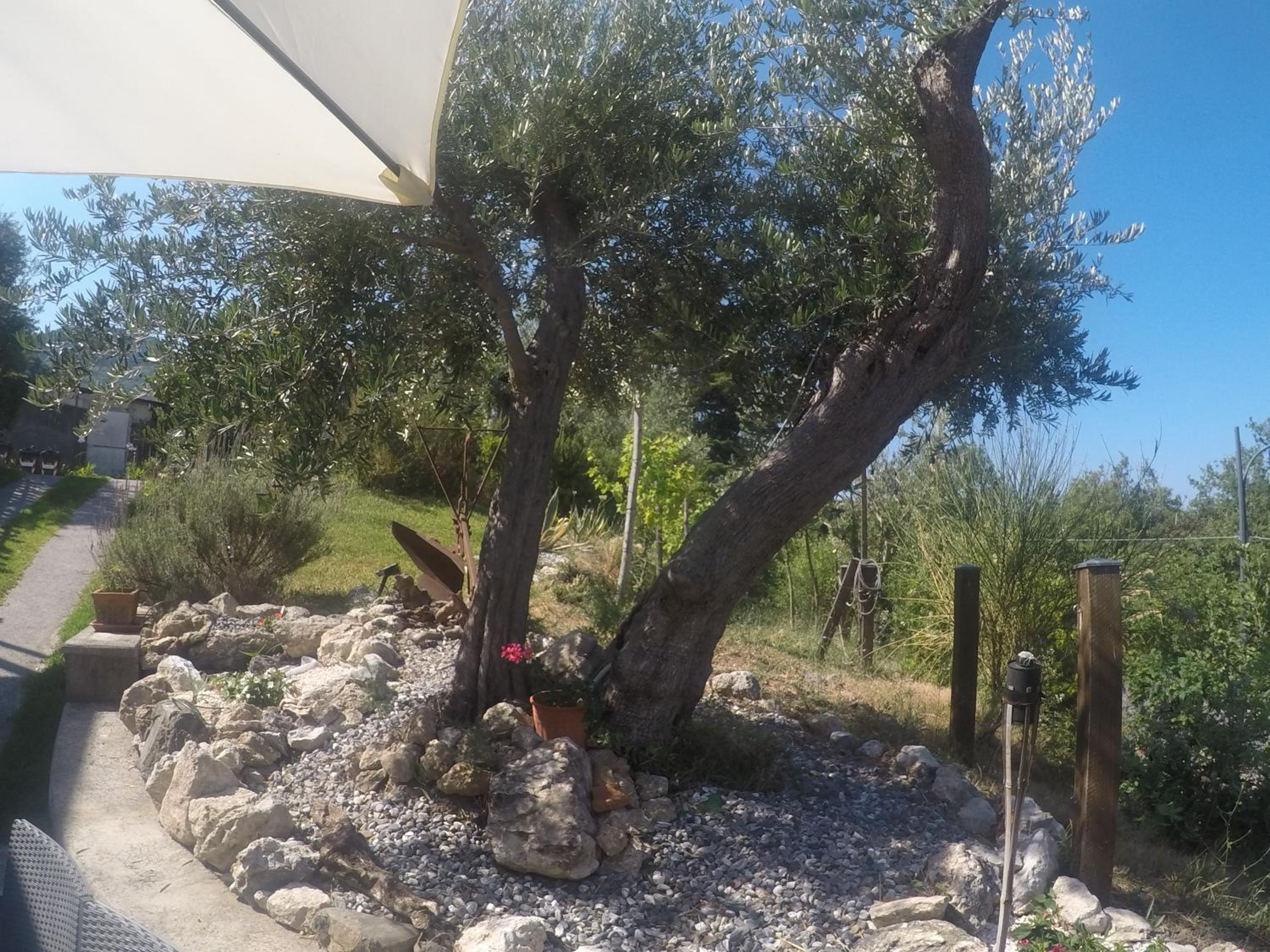 Photo 31