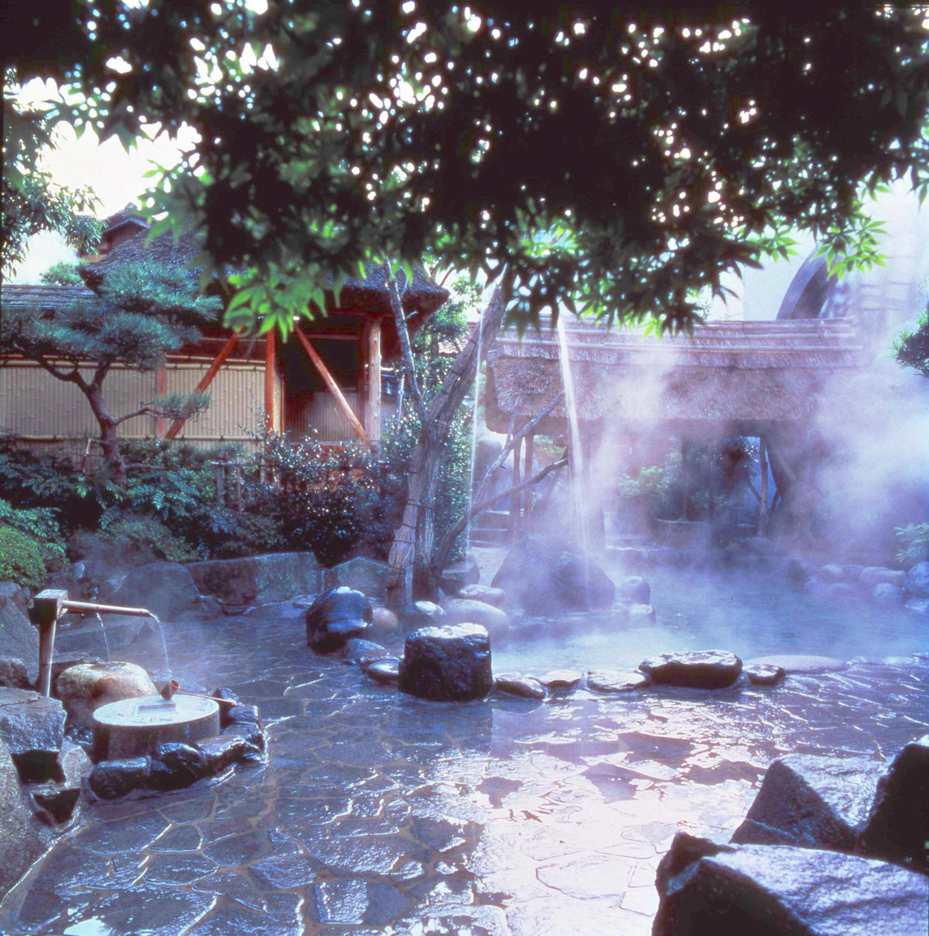 Asanoya