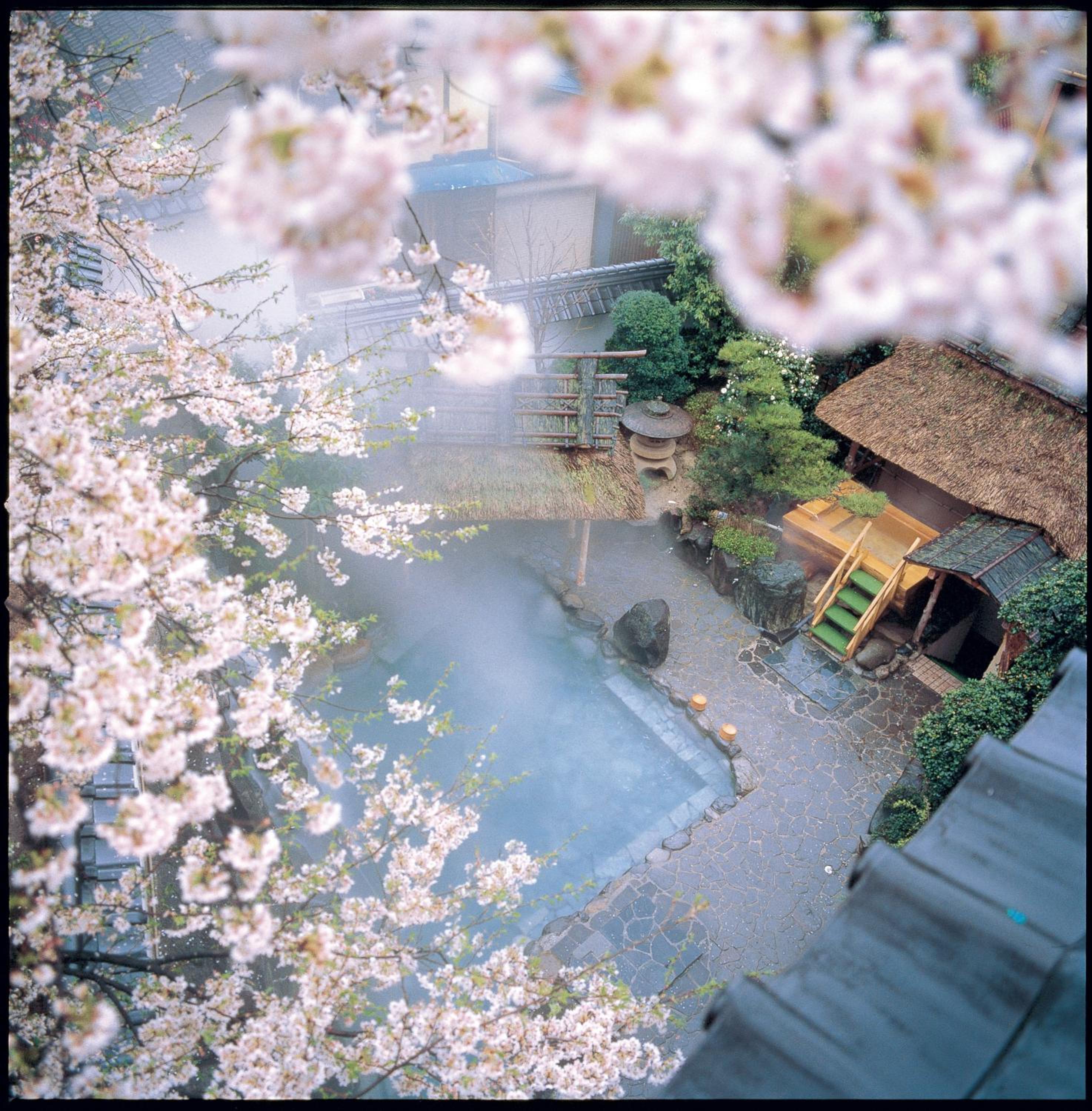 Asanoya