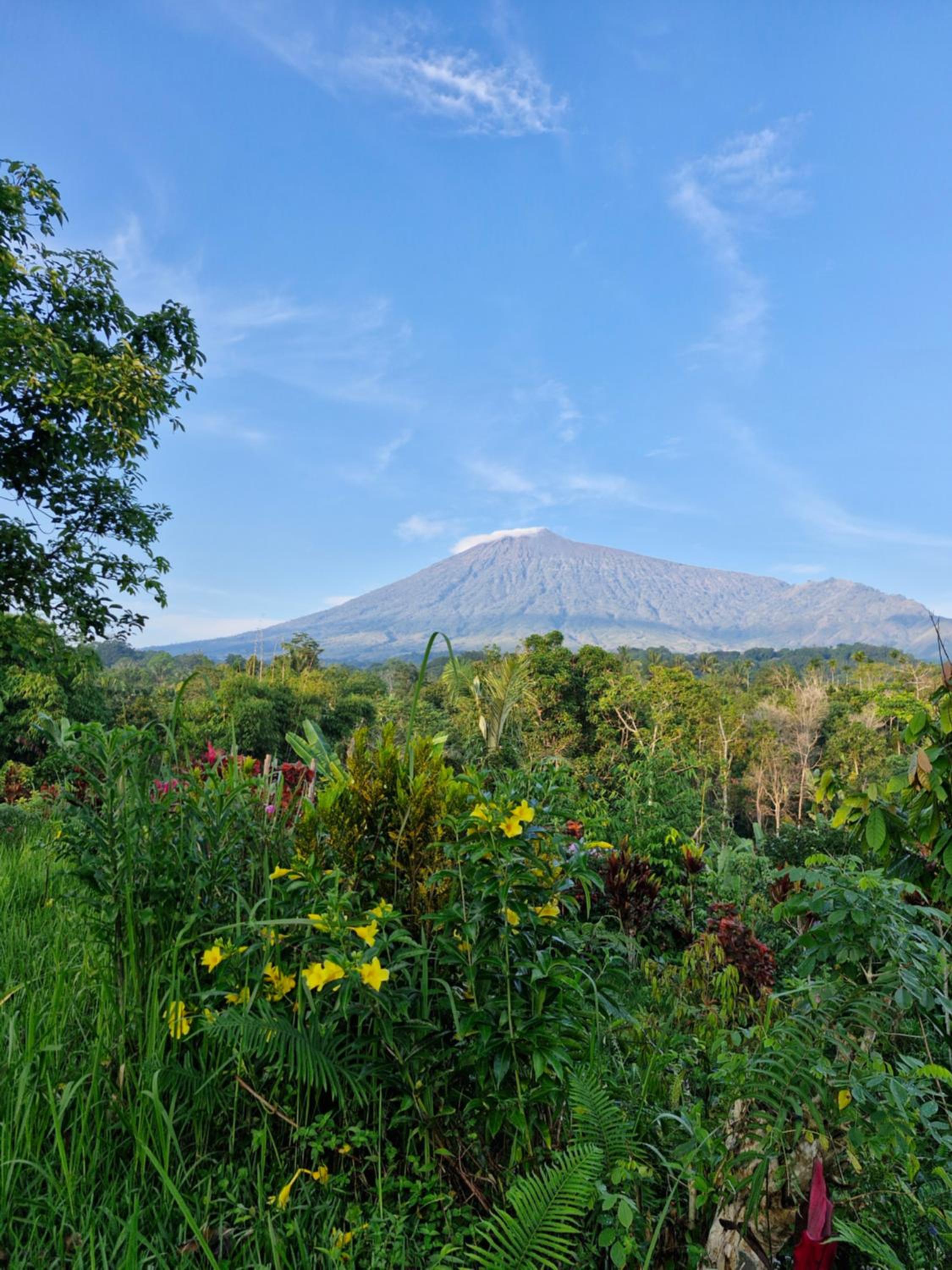 Sajang Valley Estate