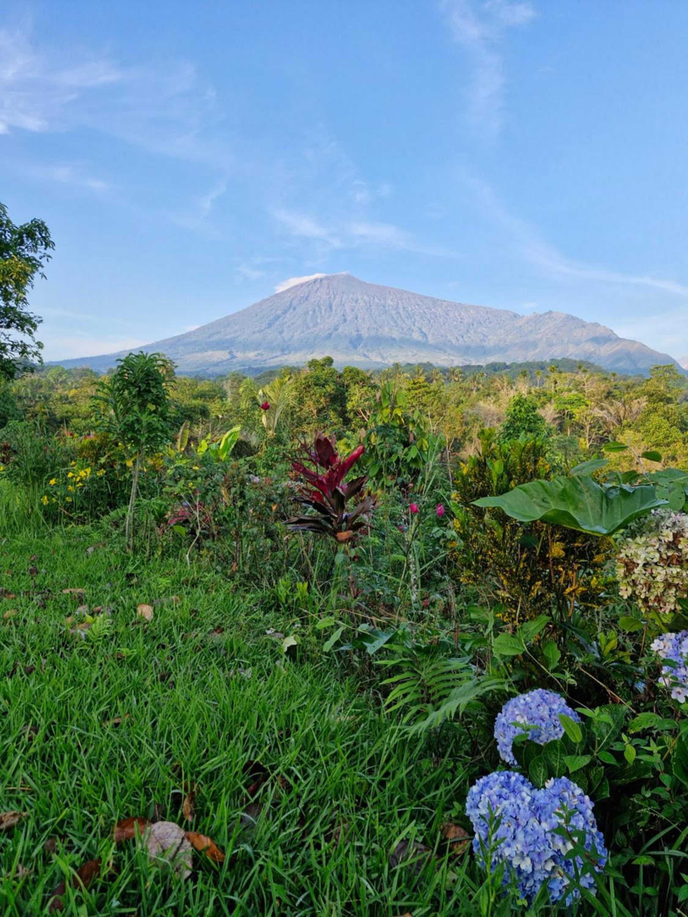 Sajang Valley Estate