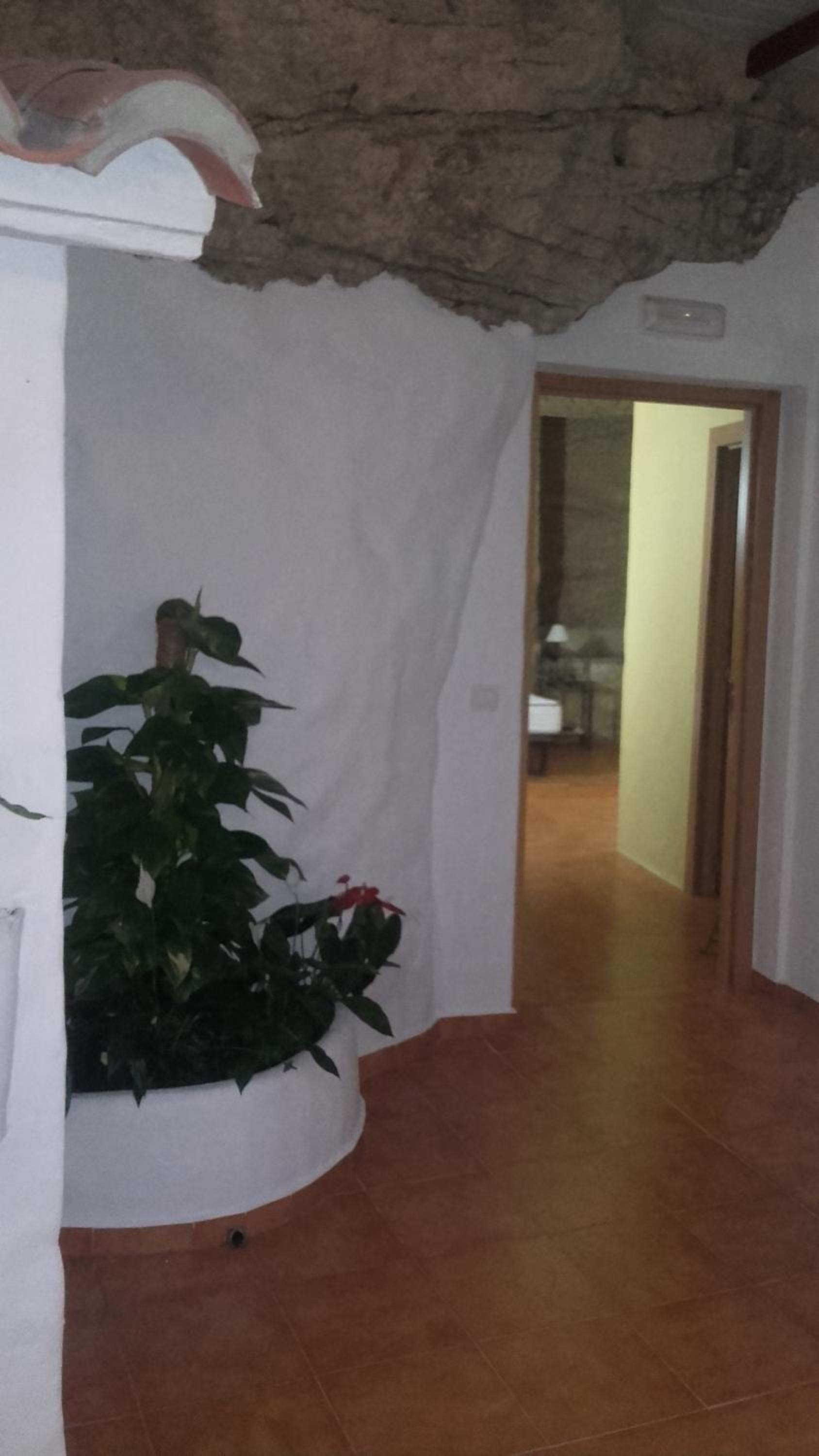 Photo 53