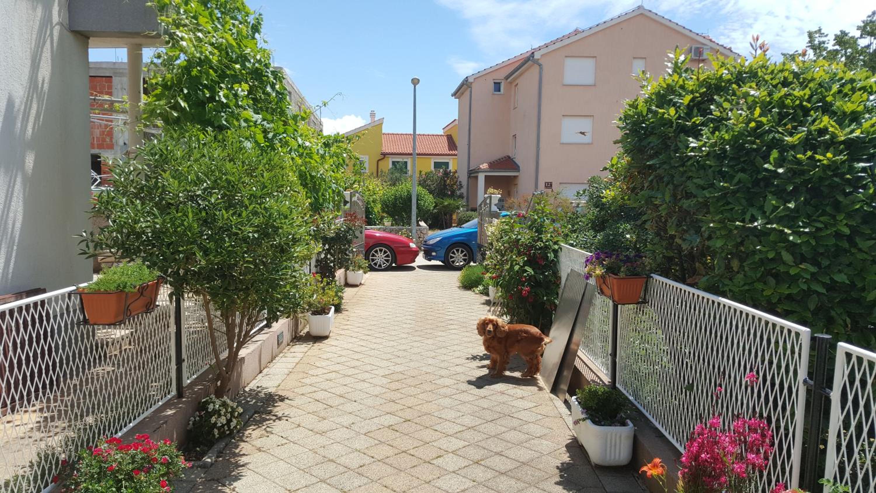 Apartments Sanda Tribunj view 5